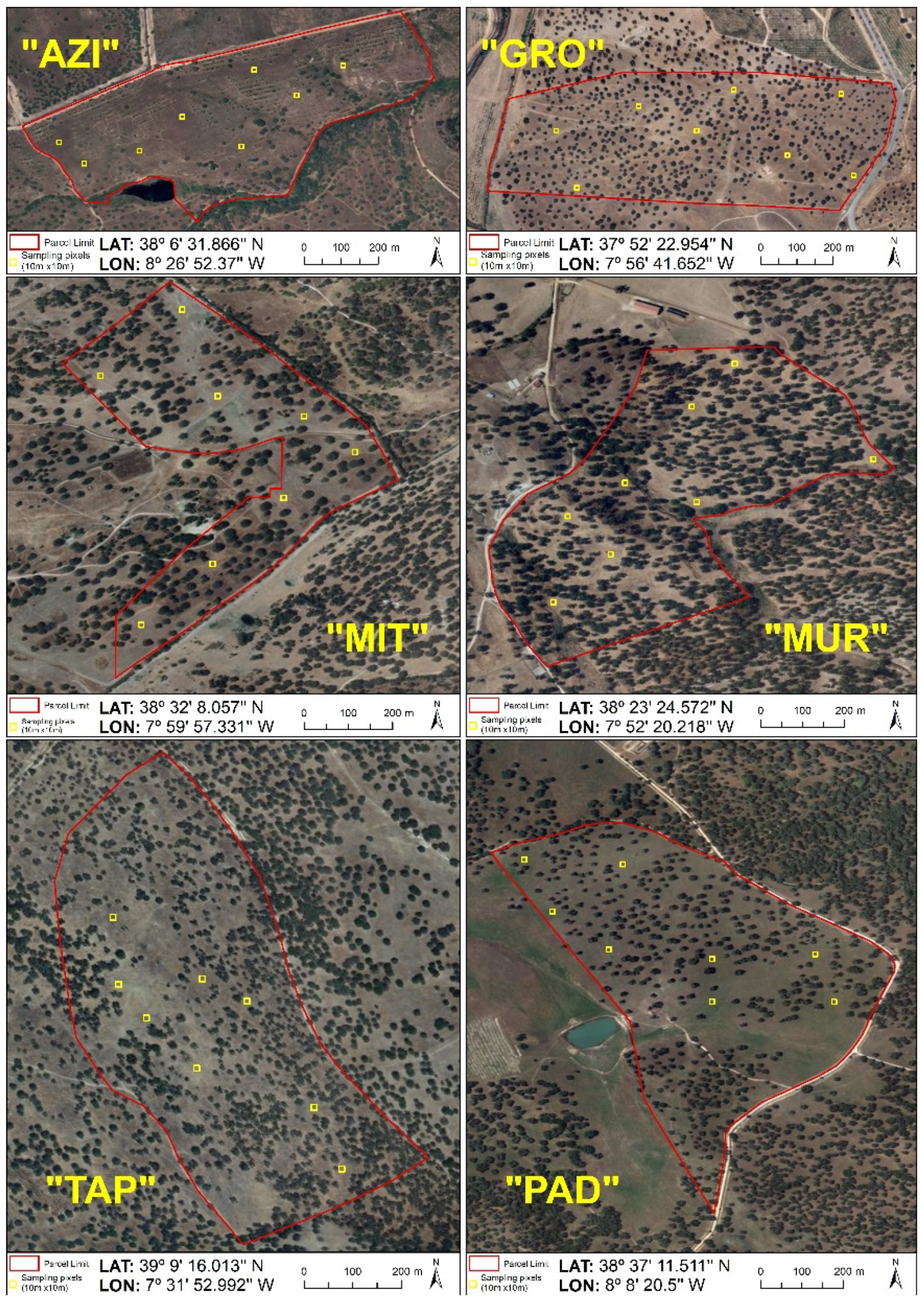 Remotesensing 13 03820 g006 550