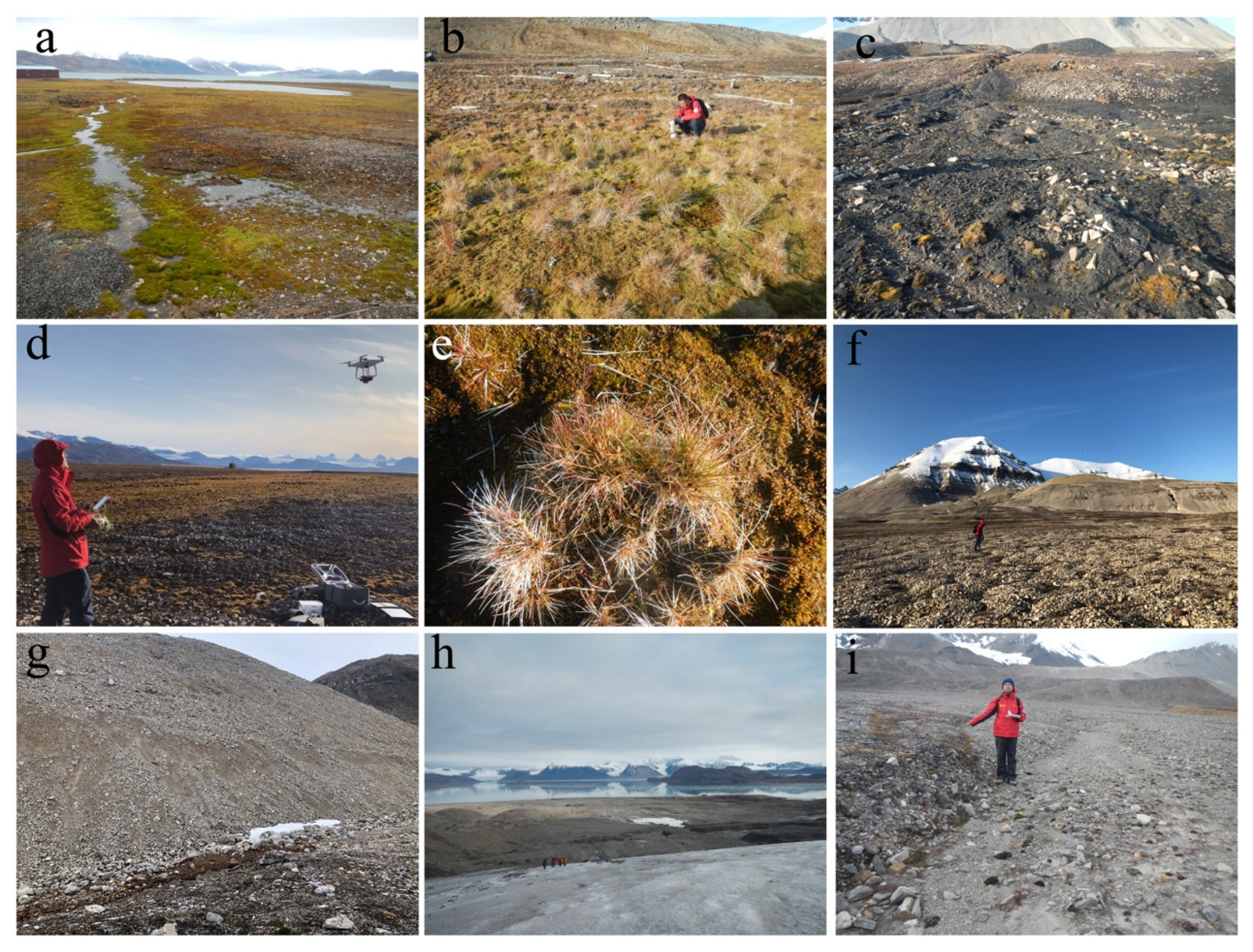 Remotesensing 13 03845 g002