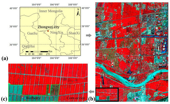 Estimating Fractional Vegetation Cover of Row Crops from High Spatial ...