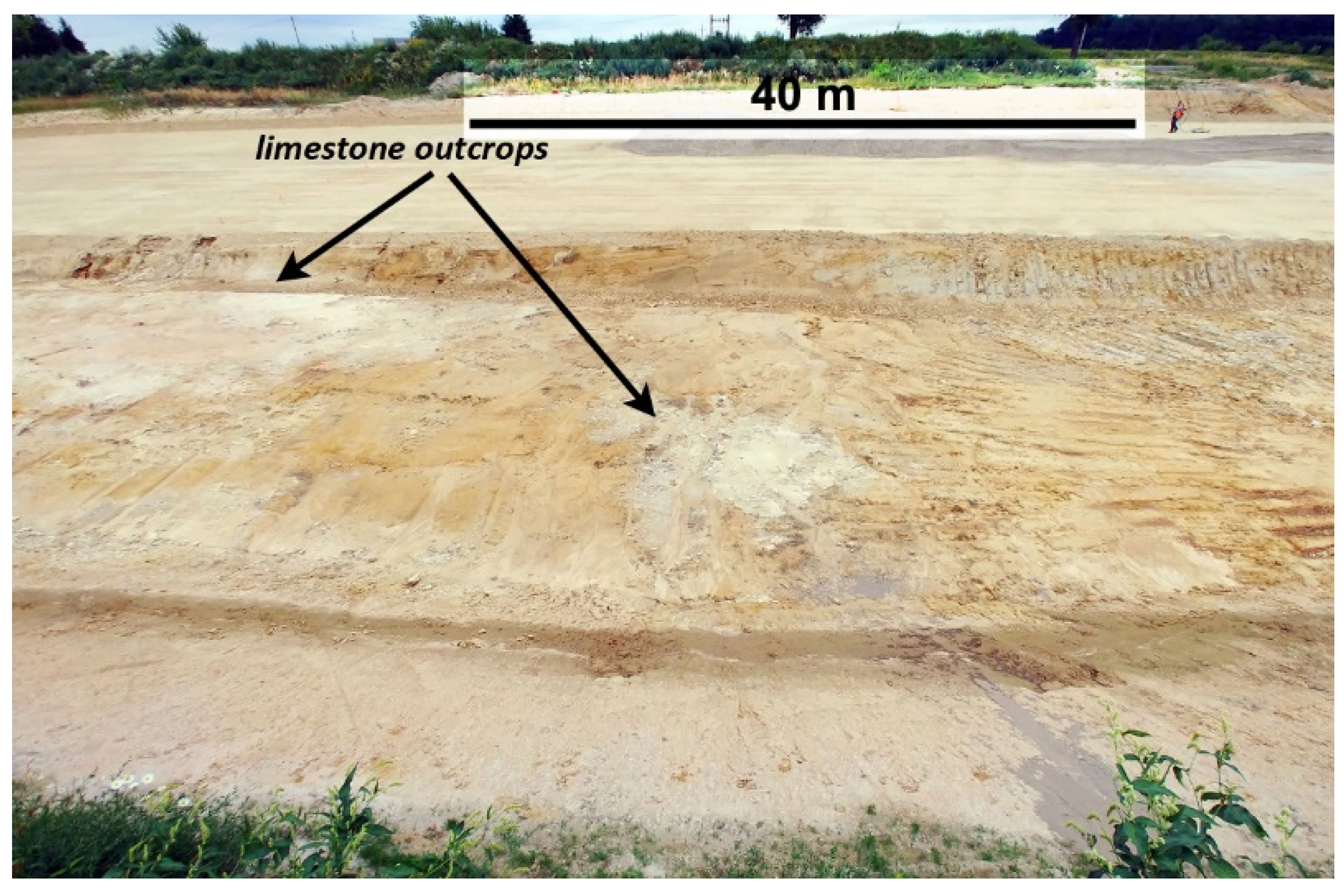 Remotesensing 13 03886 g008 550