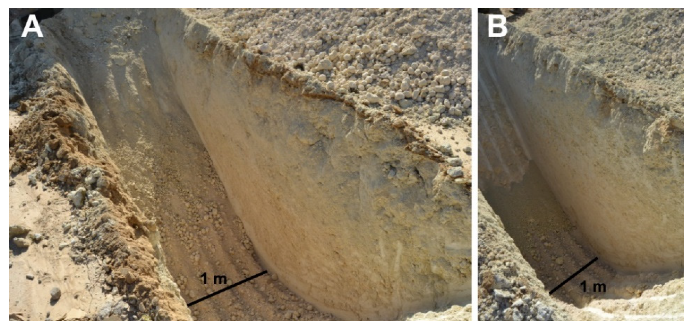 Remotesensing 13 03886 g036 550