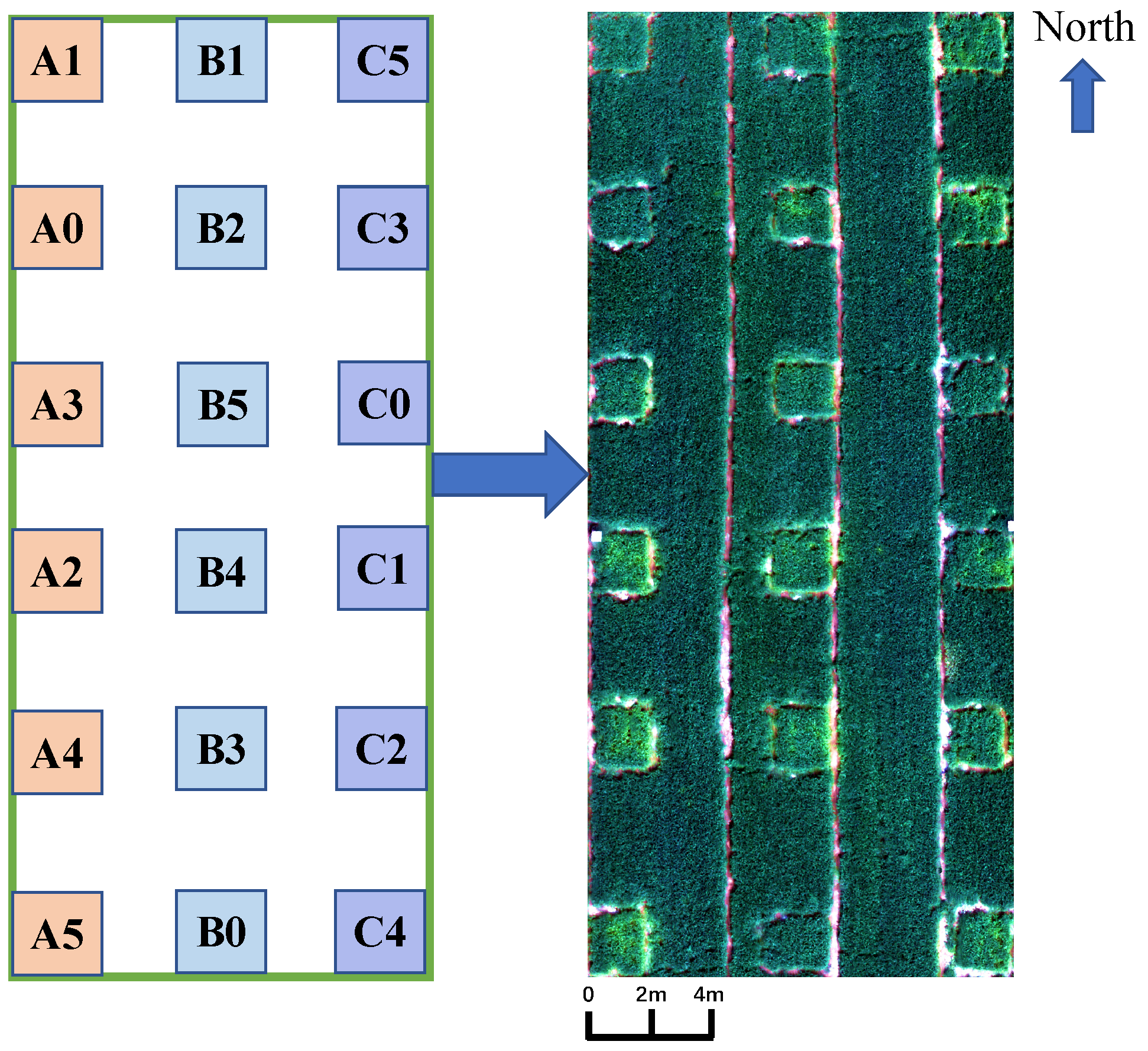 Remotesensing 13 03892 g002 550
