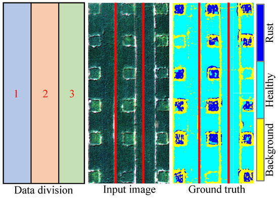 Ir-UNet: Irregular Segmentation U-Shape Network for Wheat Yellow Rust ...