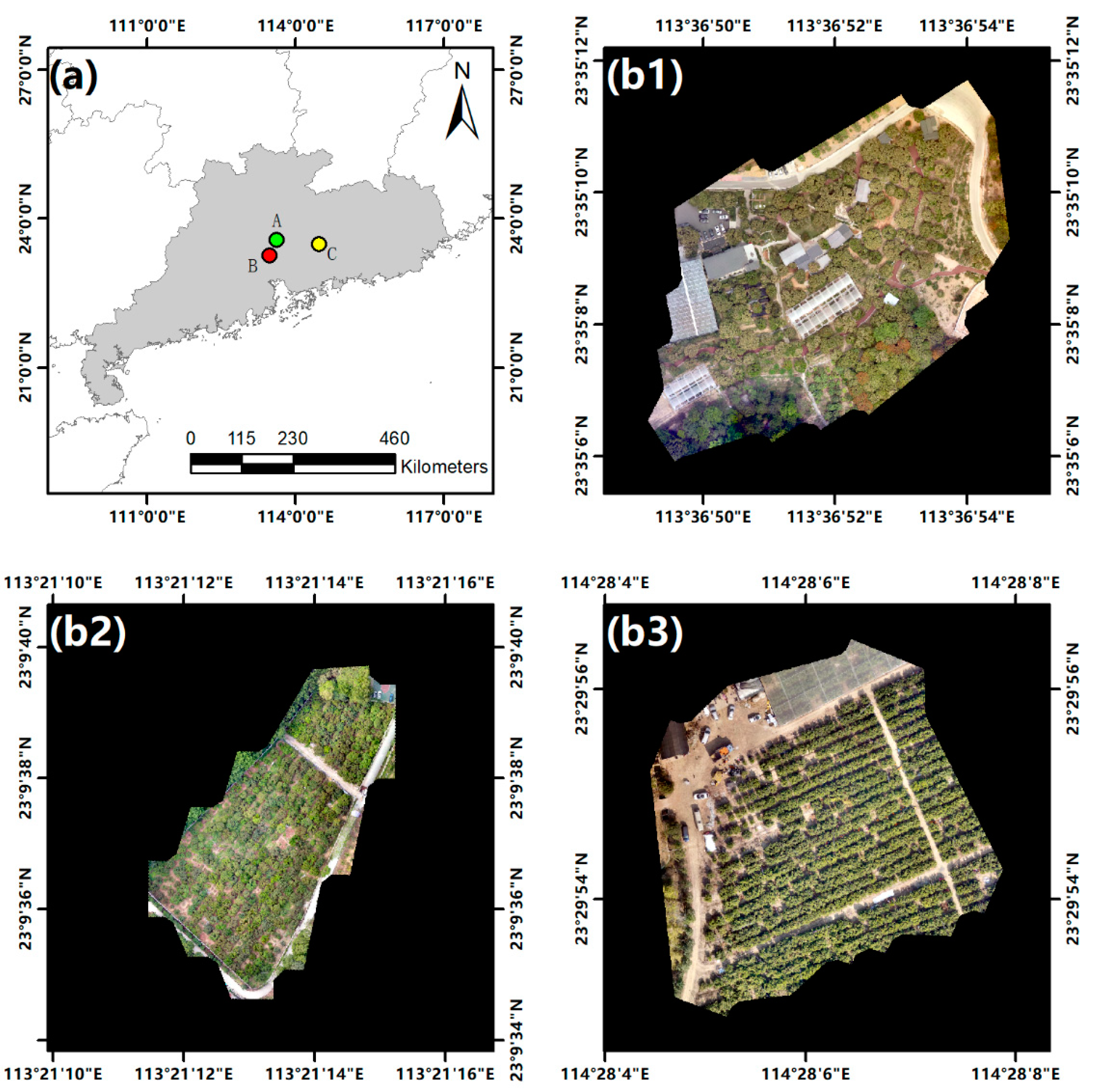 Remotesensing 13 03919 g001 550