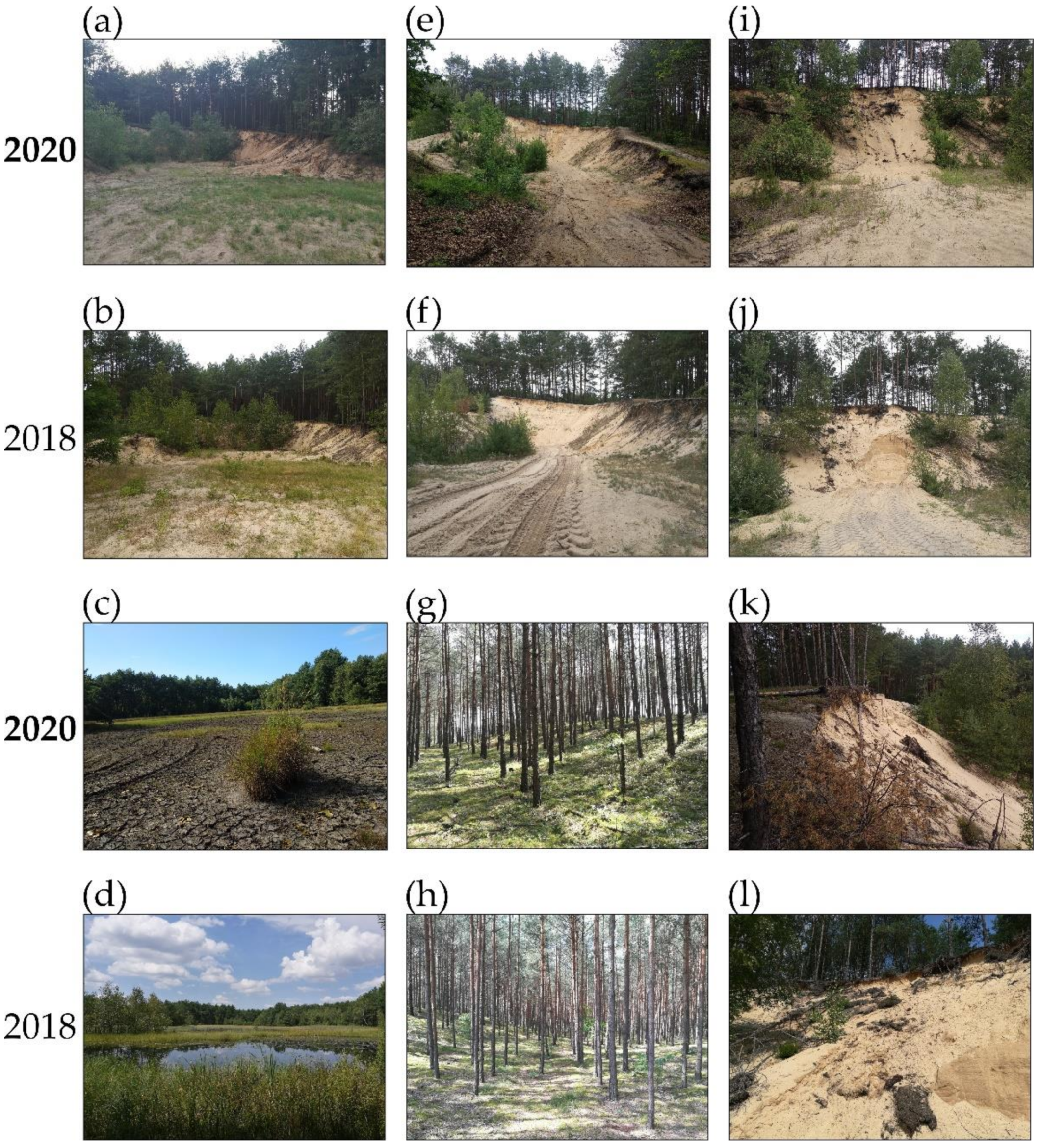 Remotesensing 13 03937 g002