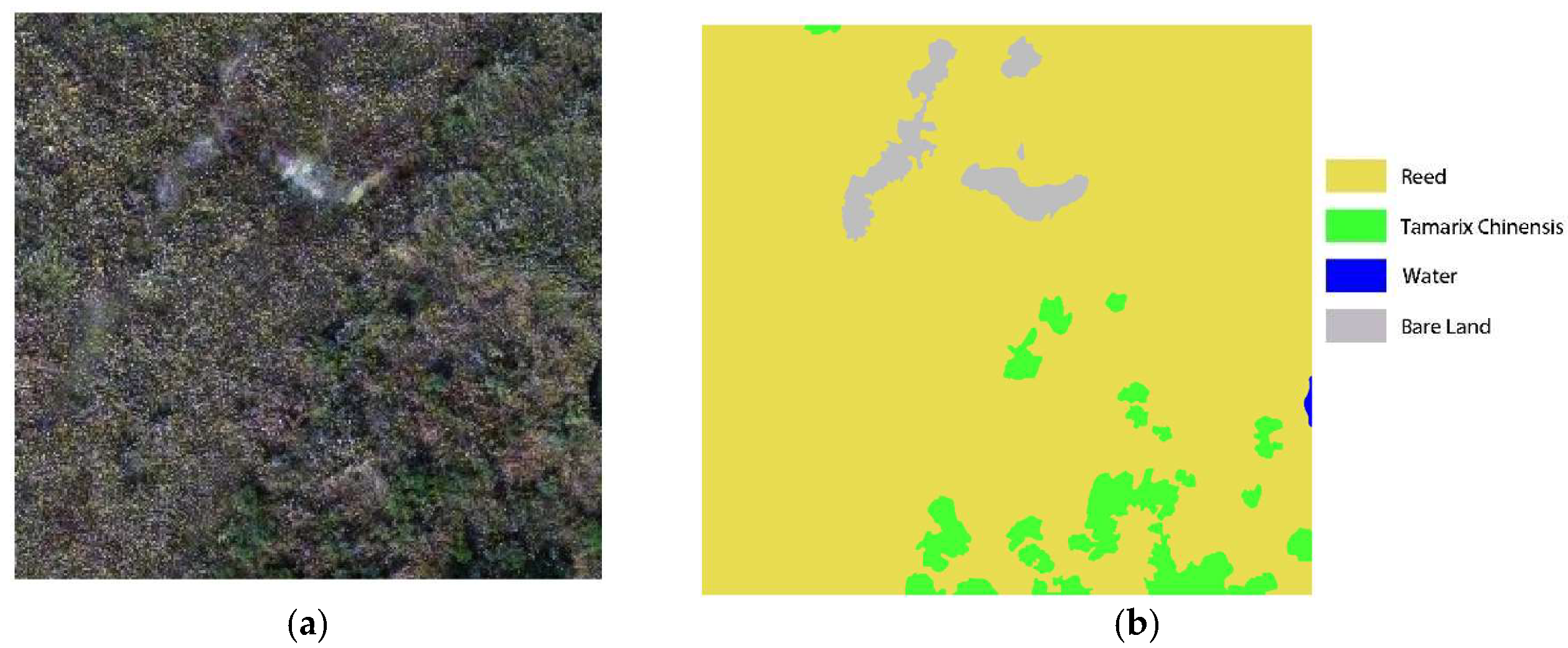 Remotesensing 13 03941 g008 550