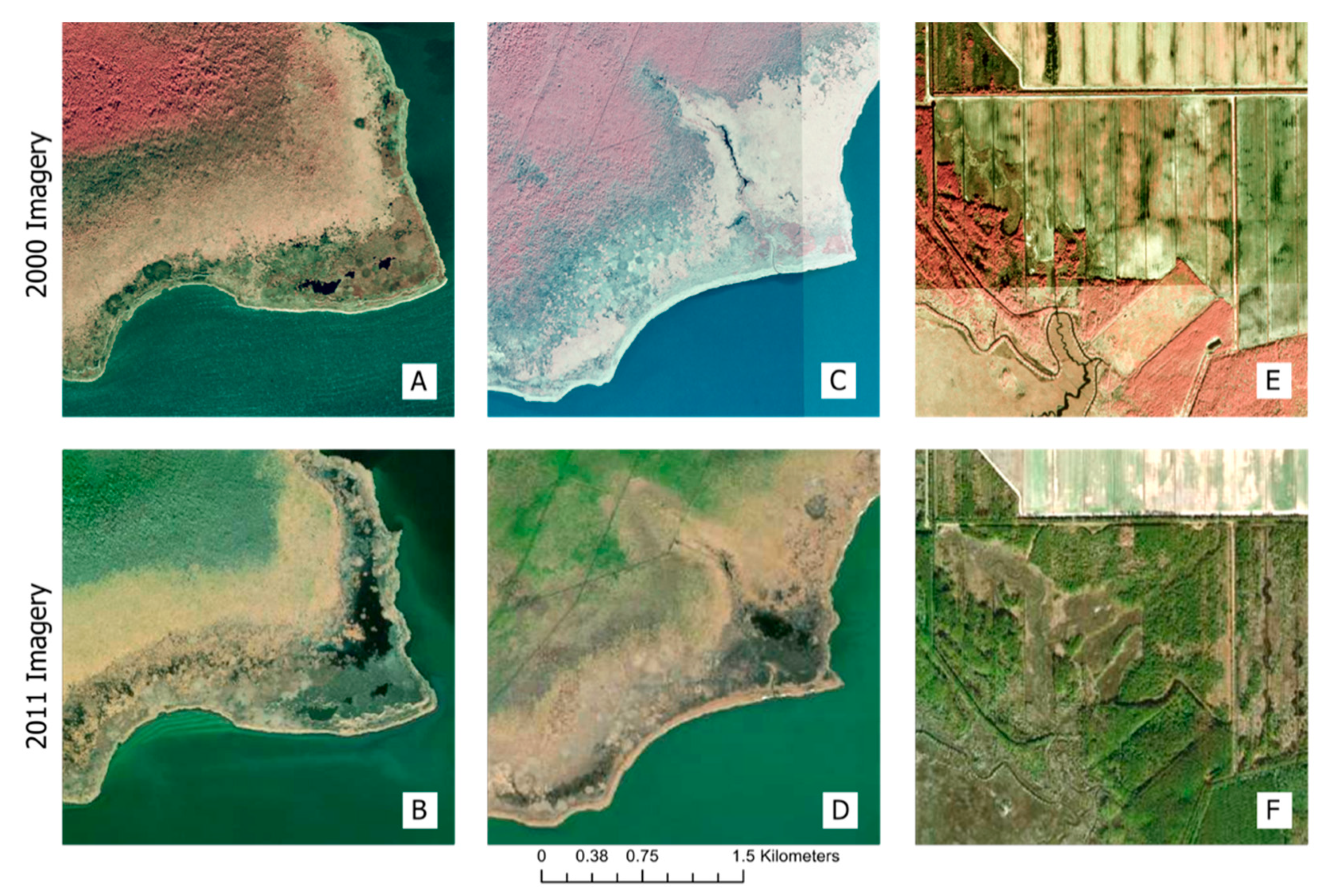 Remotesensing 13 03953 g002 550