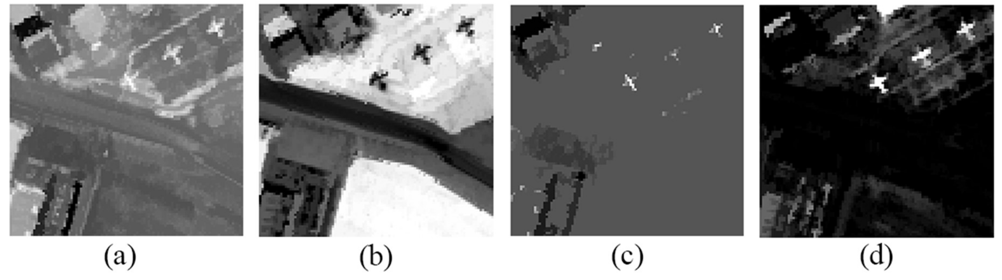 Remotesensing 13 03954 g002