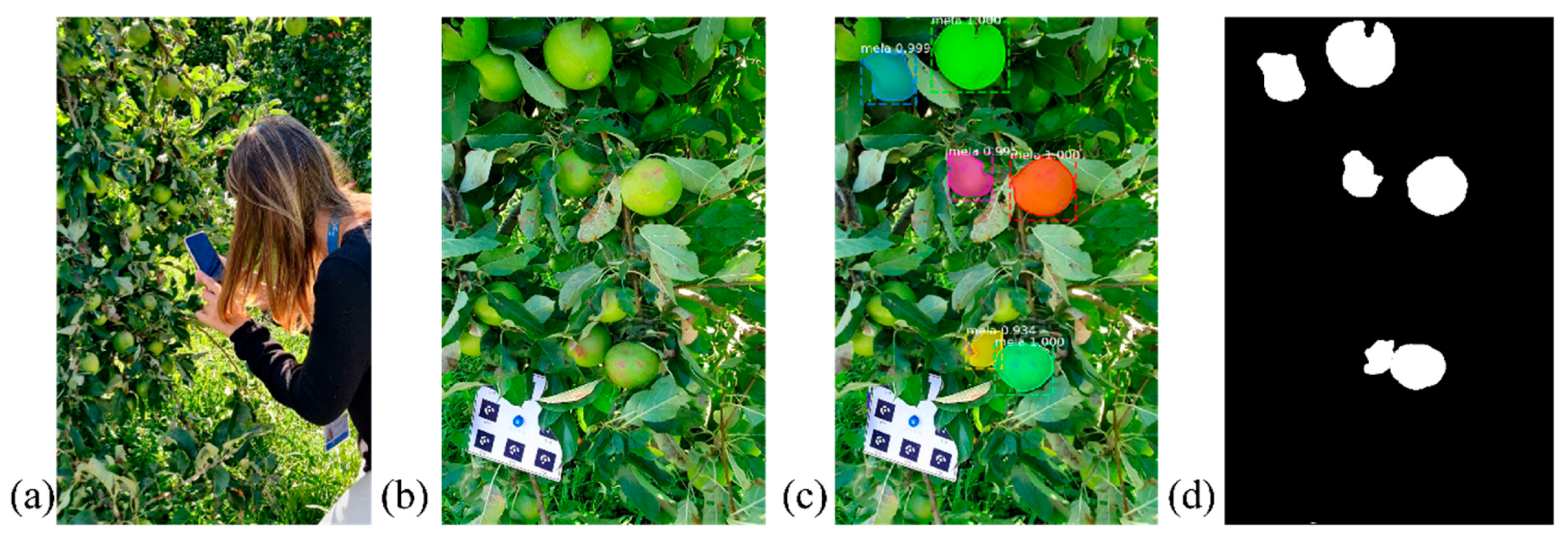 Remotesensing 13 03960 g002 550