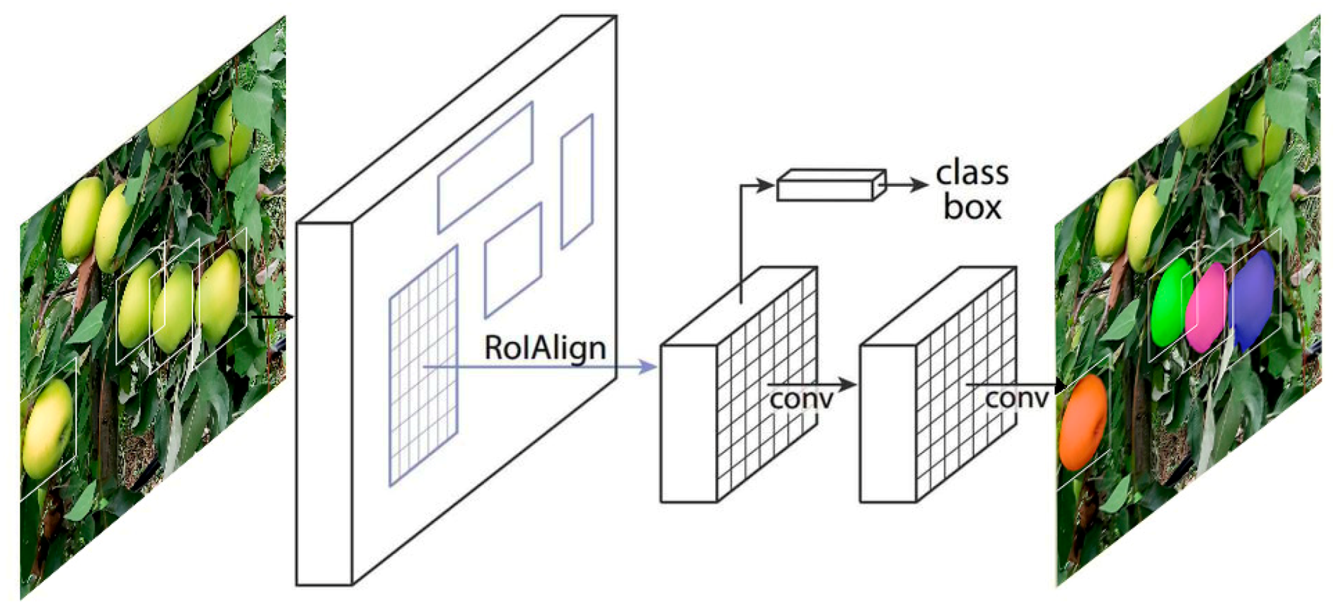 Remotesensing 13 03960 g005 550