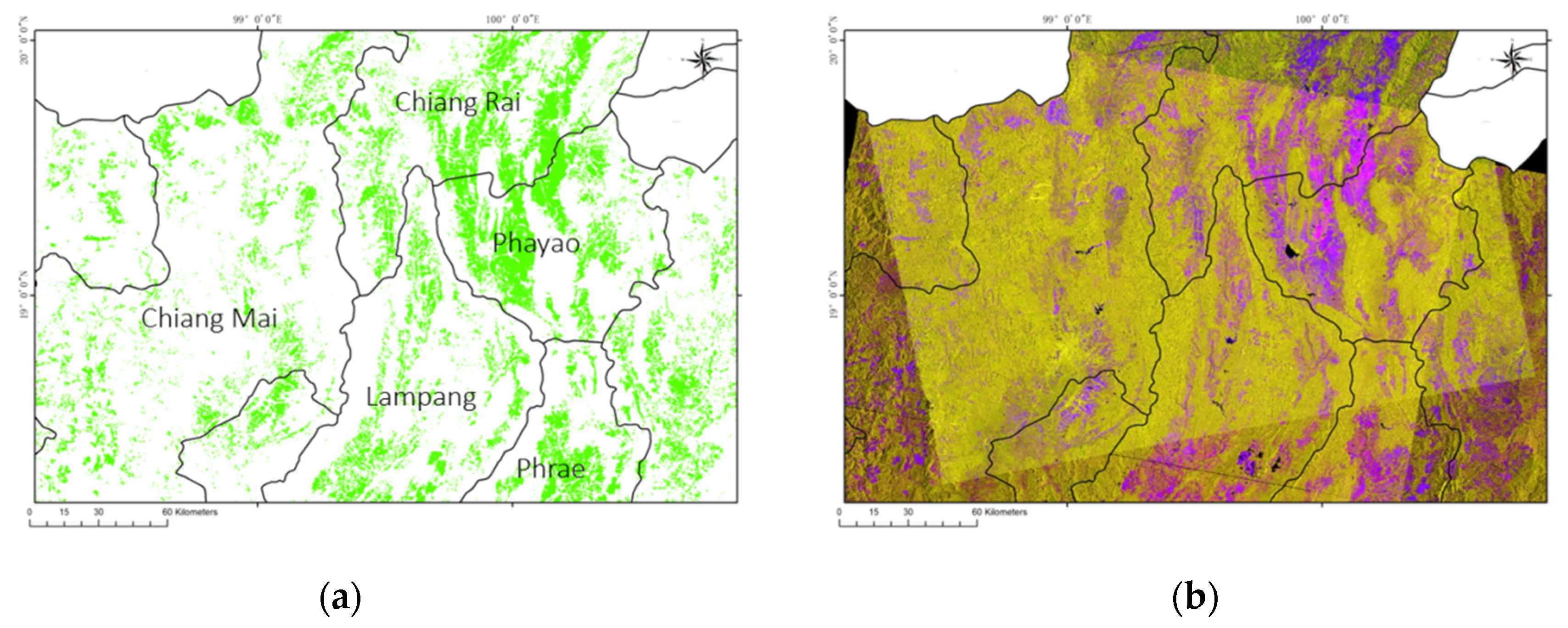 Remotesensing 13 03994 g019
