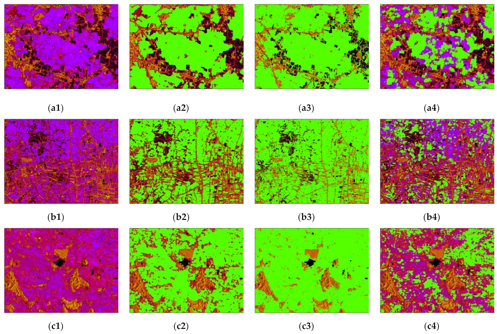 Remotesensing 13 03994 g024