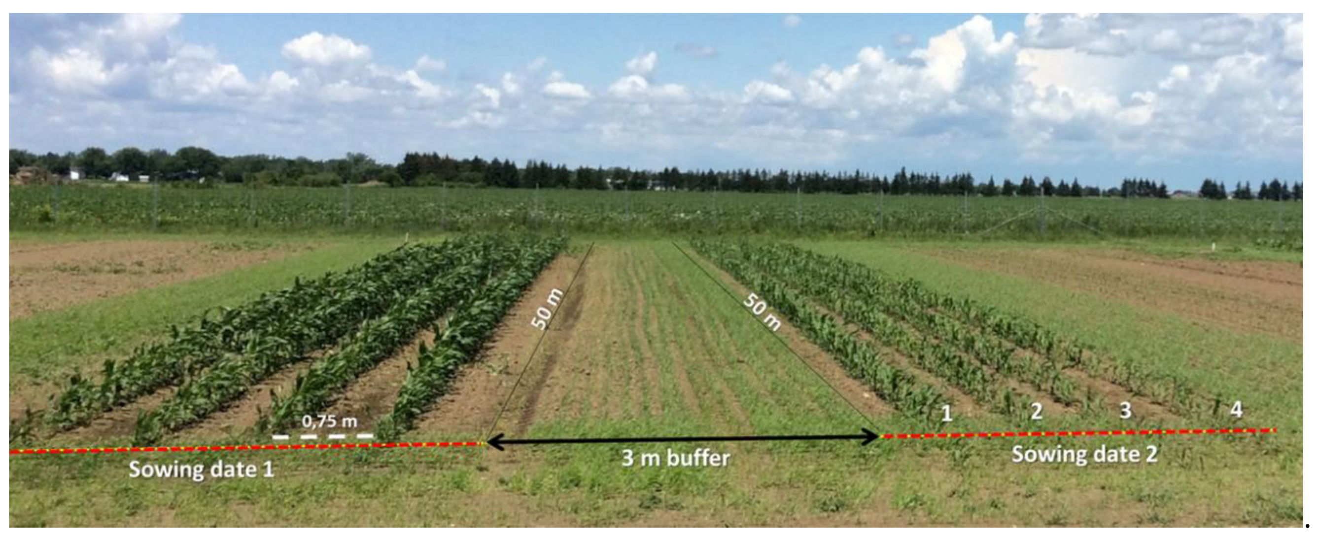 Remotesensing 13 04032 g001