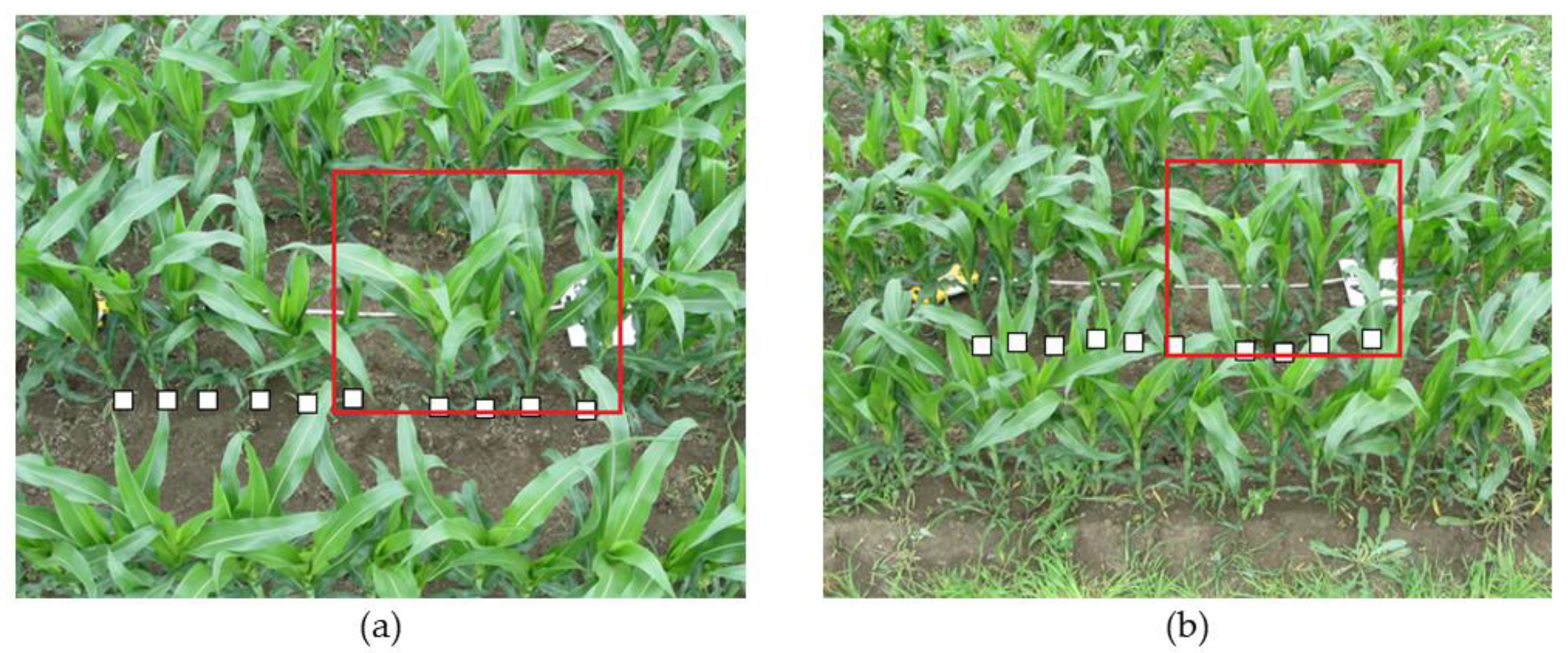 Remotesensing 13 04032 g005