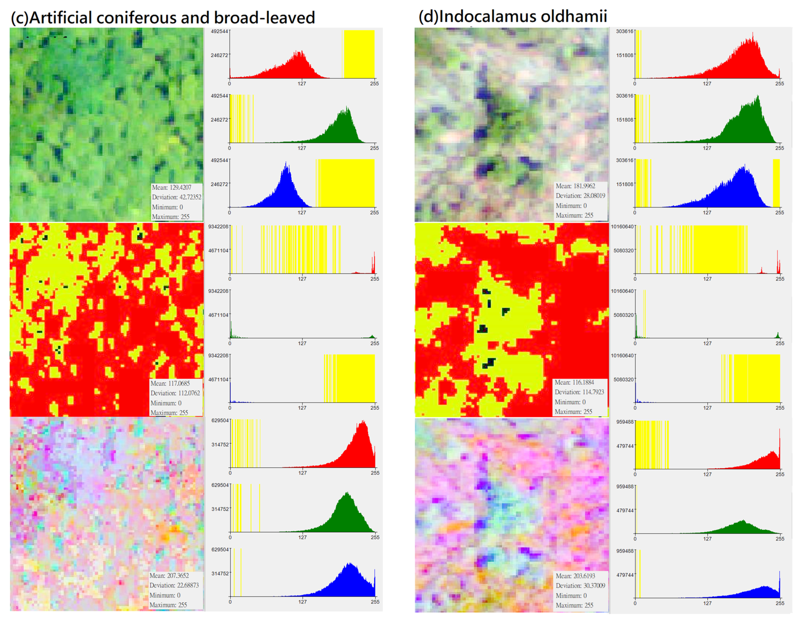 Remotesensing 13 04036 g003b 550
