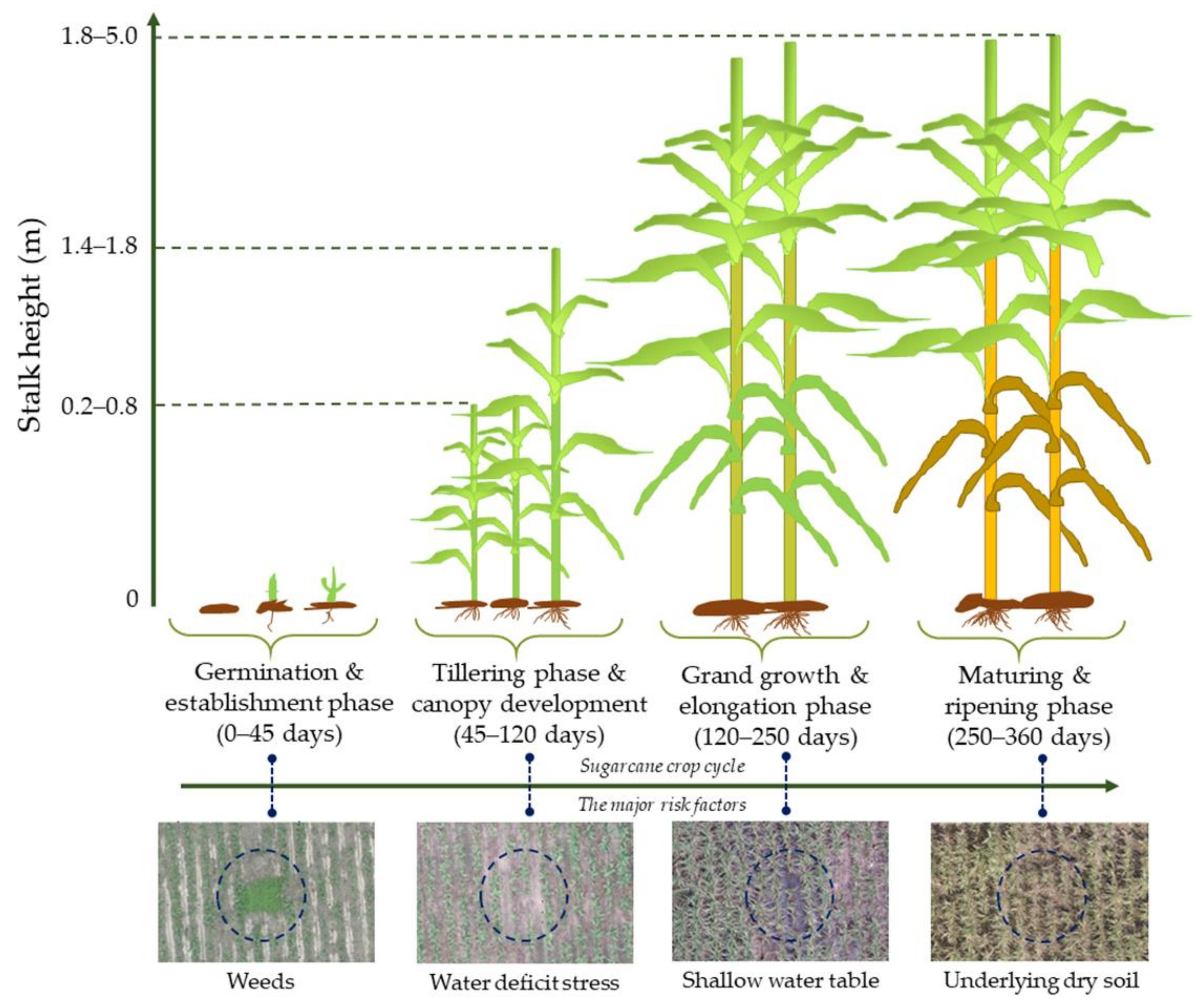 Remotesensing 13 04040 g001
