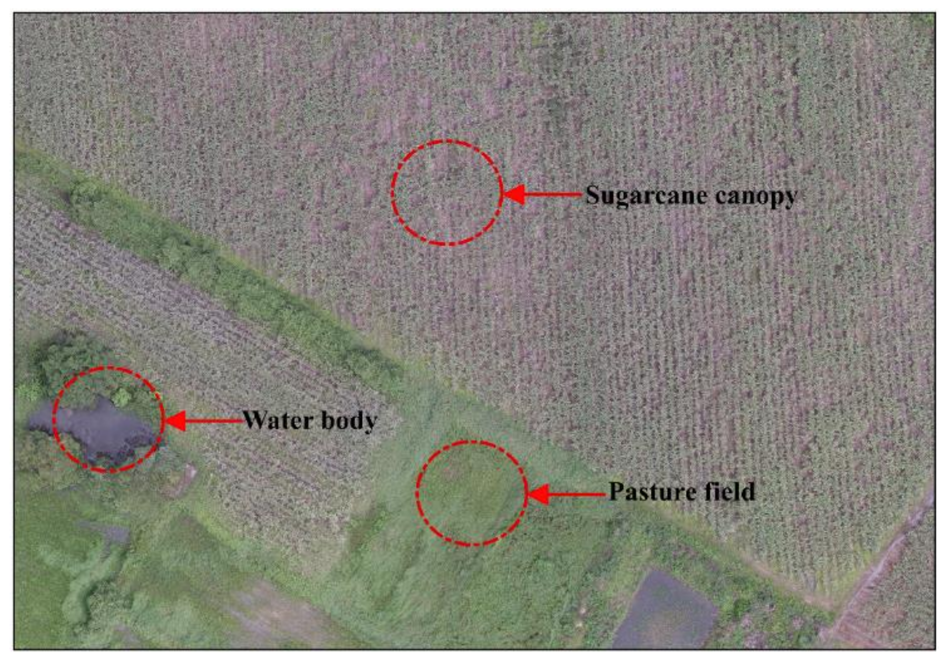 Remotesensing 13 04040 g018