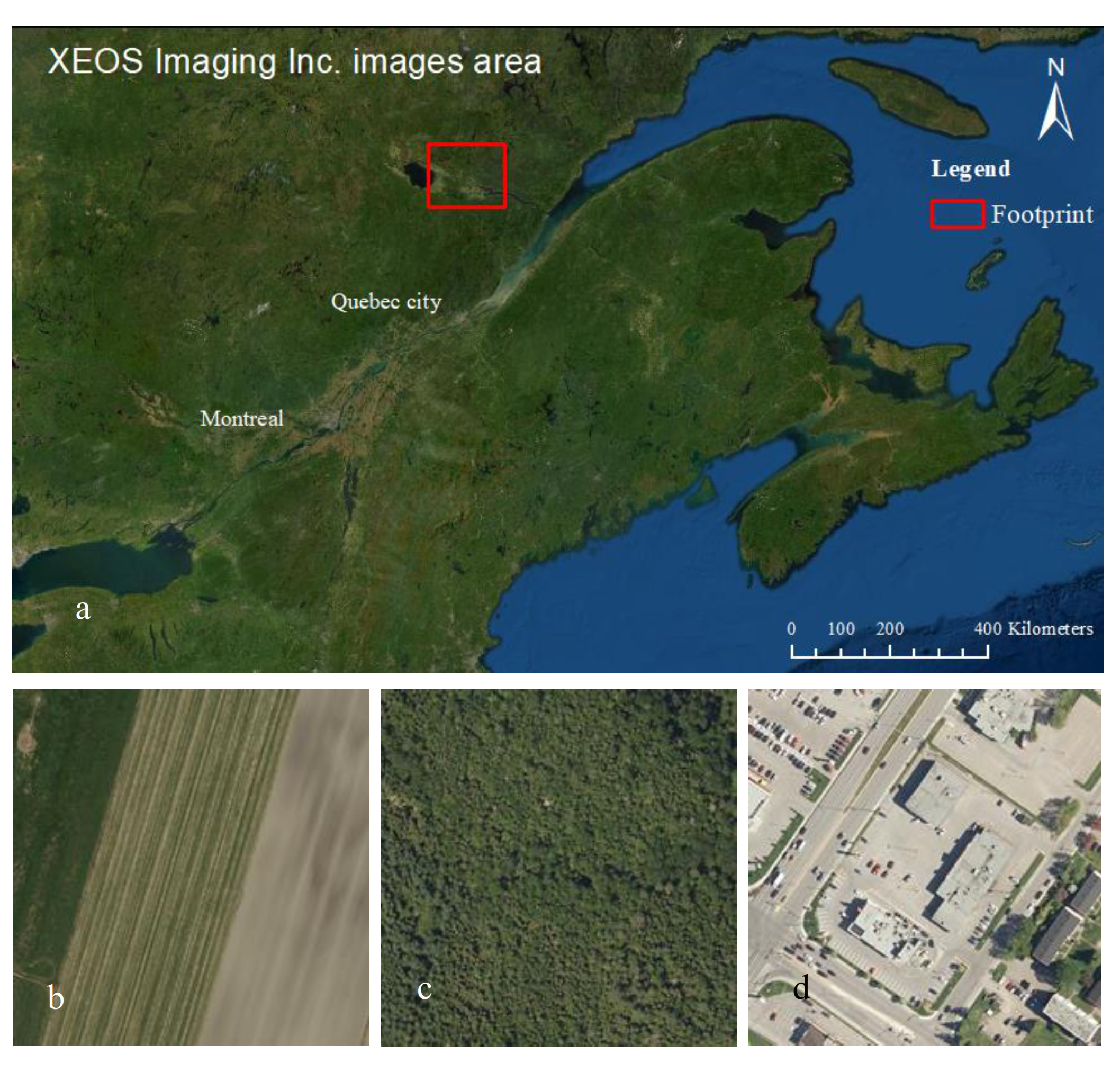 Remotesensing 13 04044 g002 550