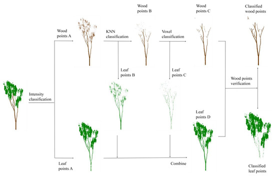 LeWoS: A universal leaf‐wood classification method to facilitate the 3D  modelling of large tropical trees using terrestrial LiDAR - Wang - 2020 -  Methods in Ecology and Evolution - Wiley Online Library