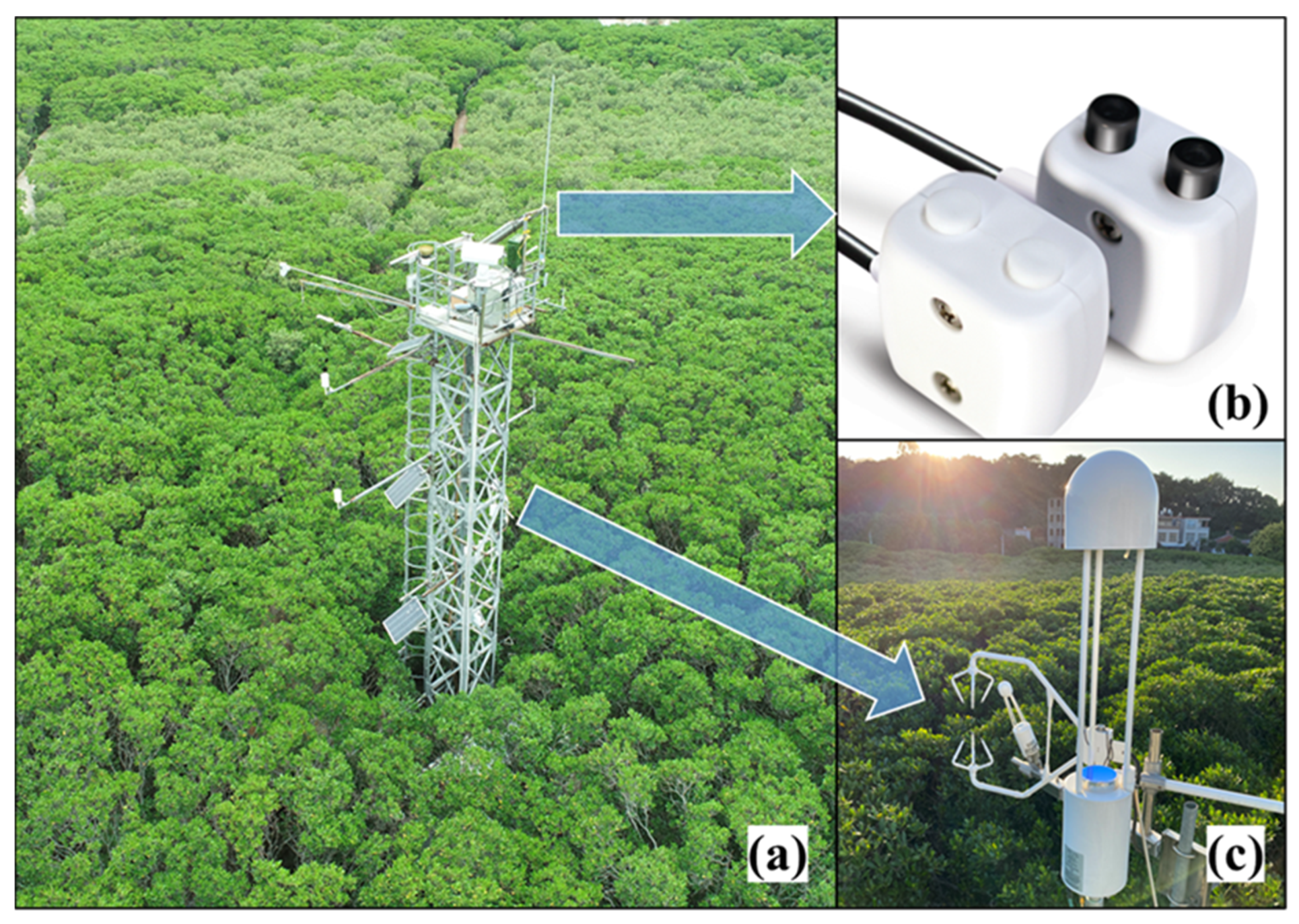 Remotesensing 13 04053 g001