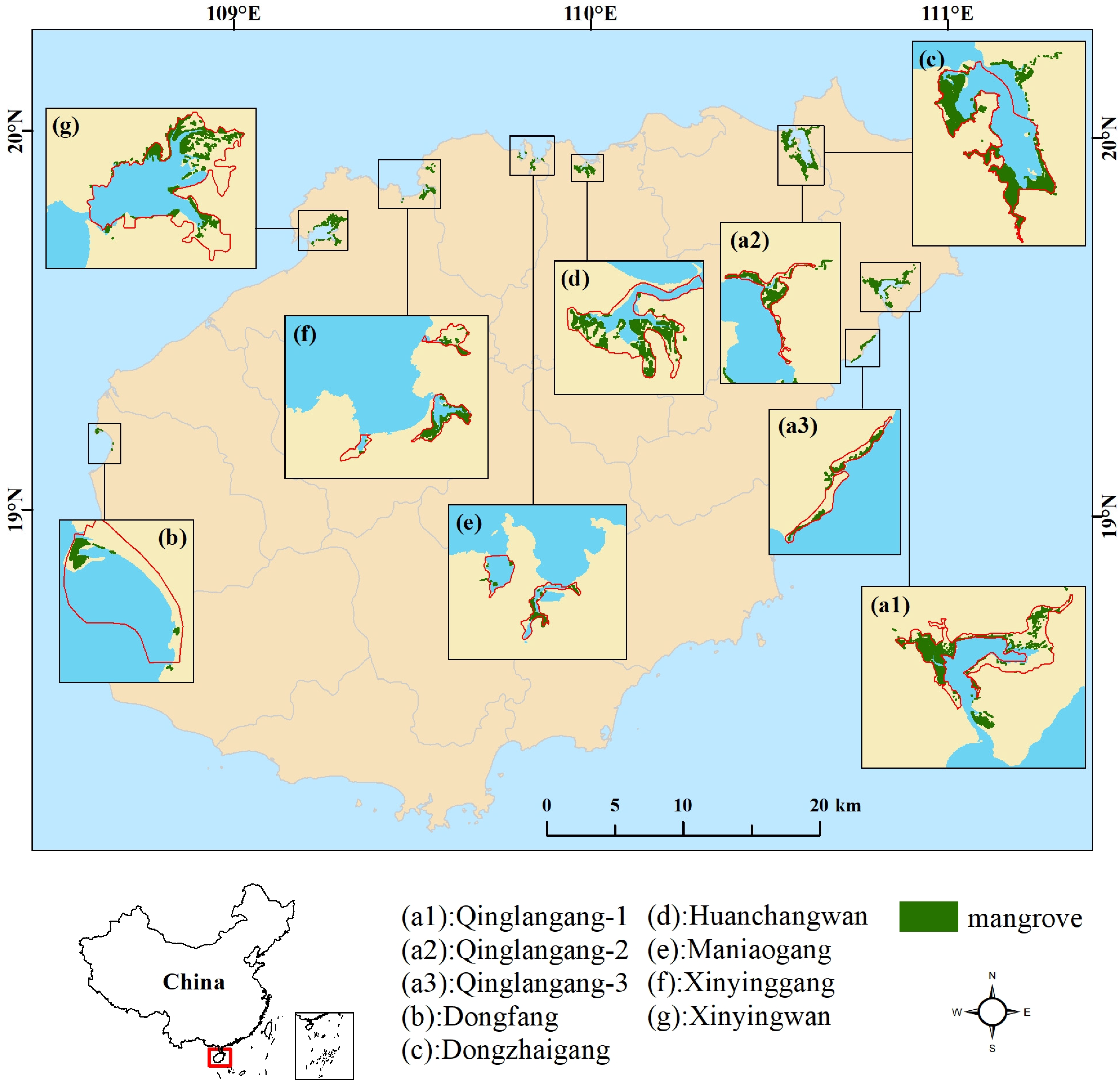 Spatio-Temporal Simulation of Mangrove Forests under