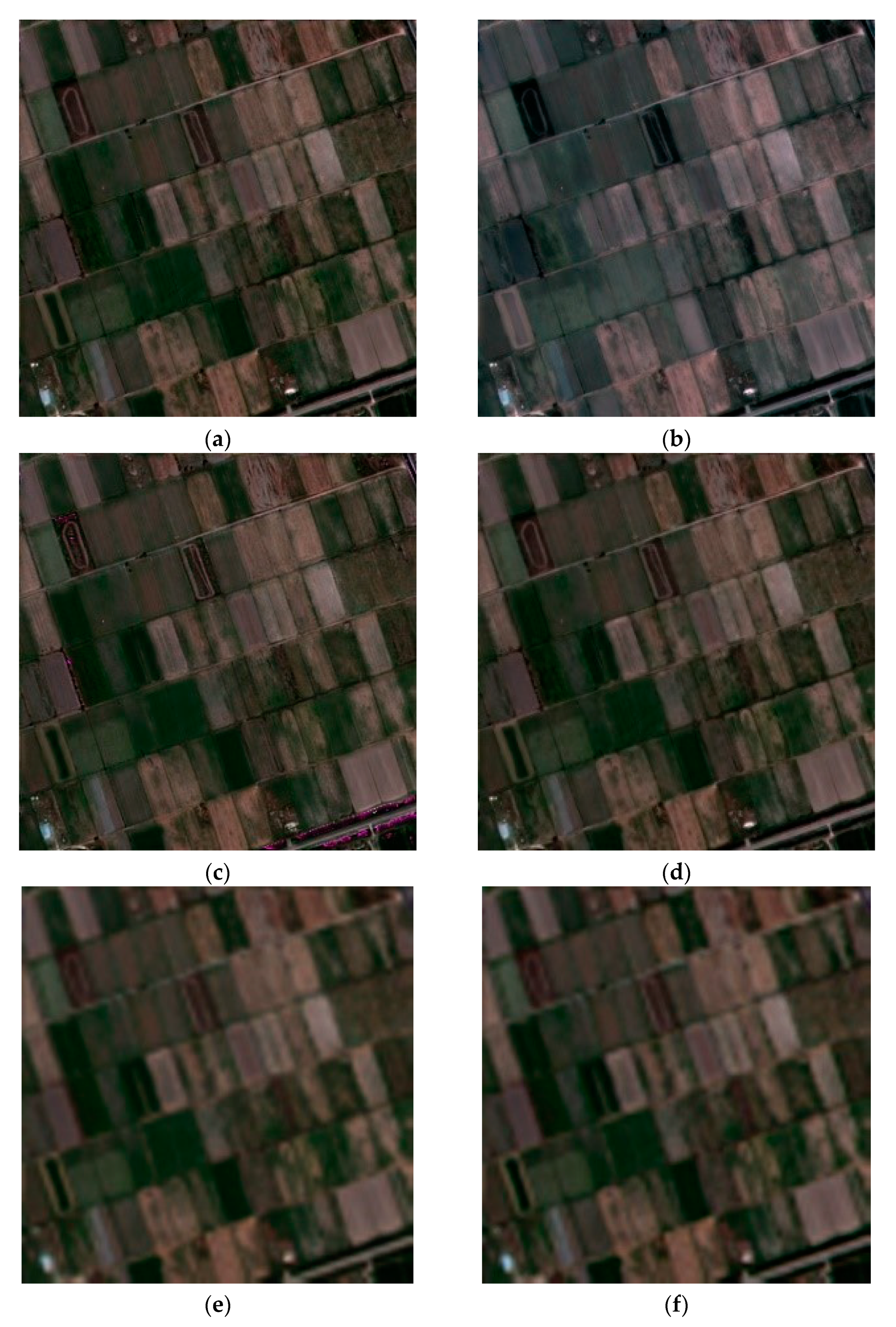 Remotesensing 13 04062 g006a 550