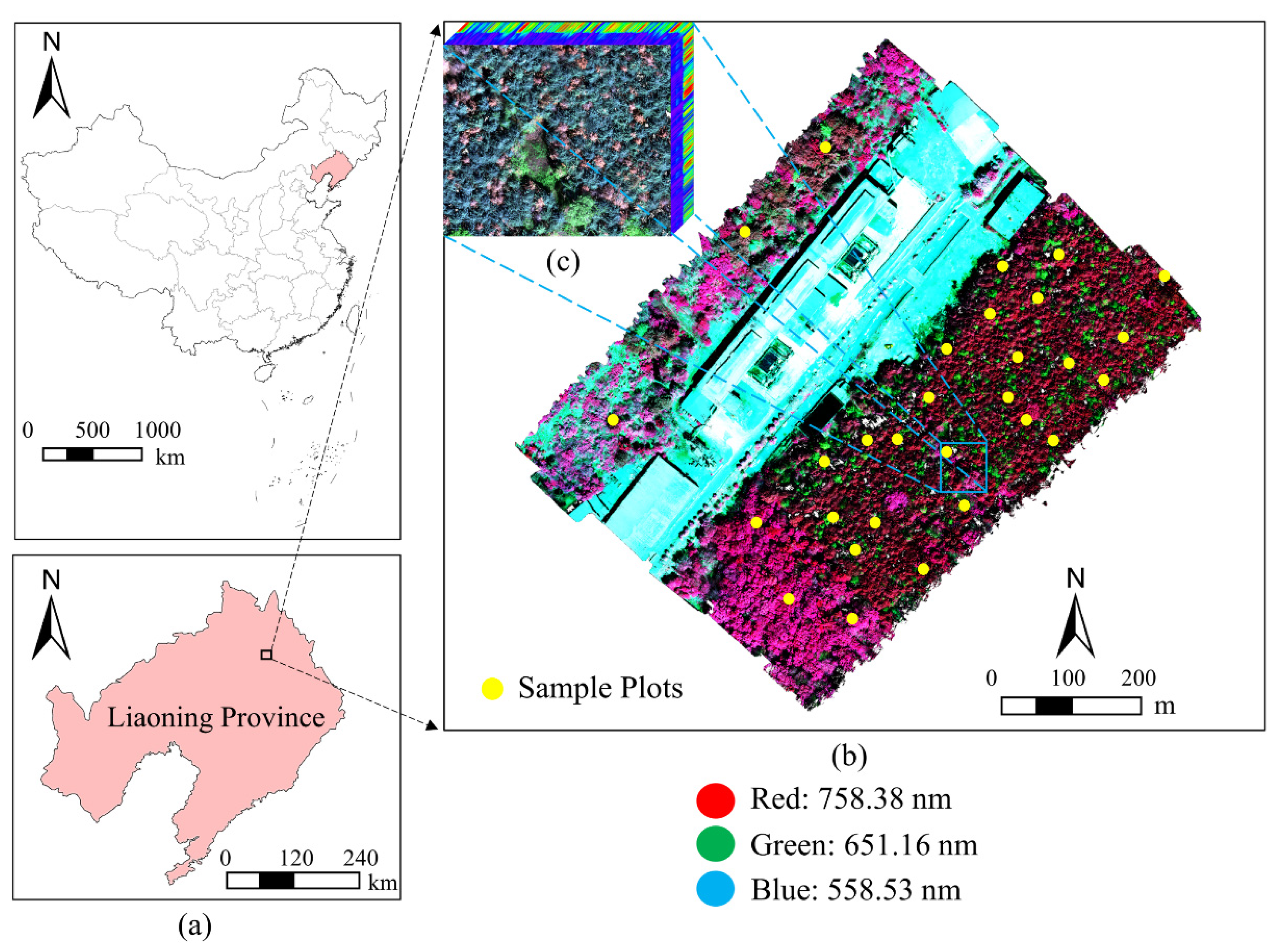 Remotesensing 13 04065 g006