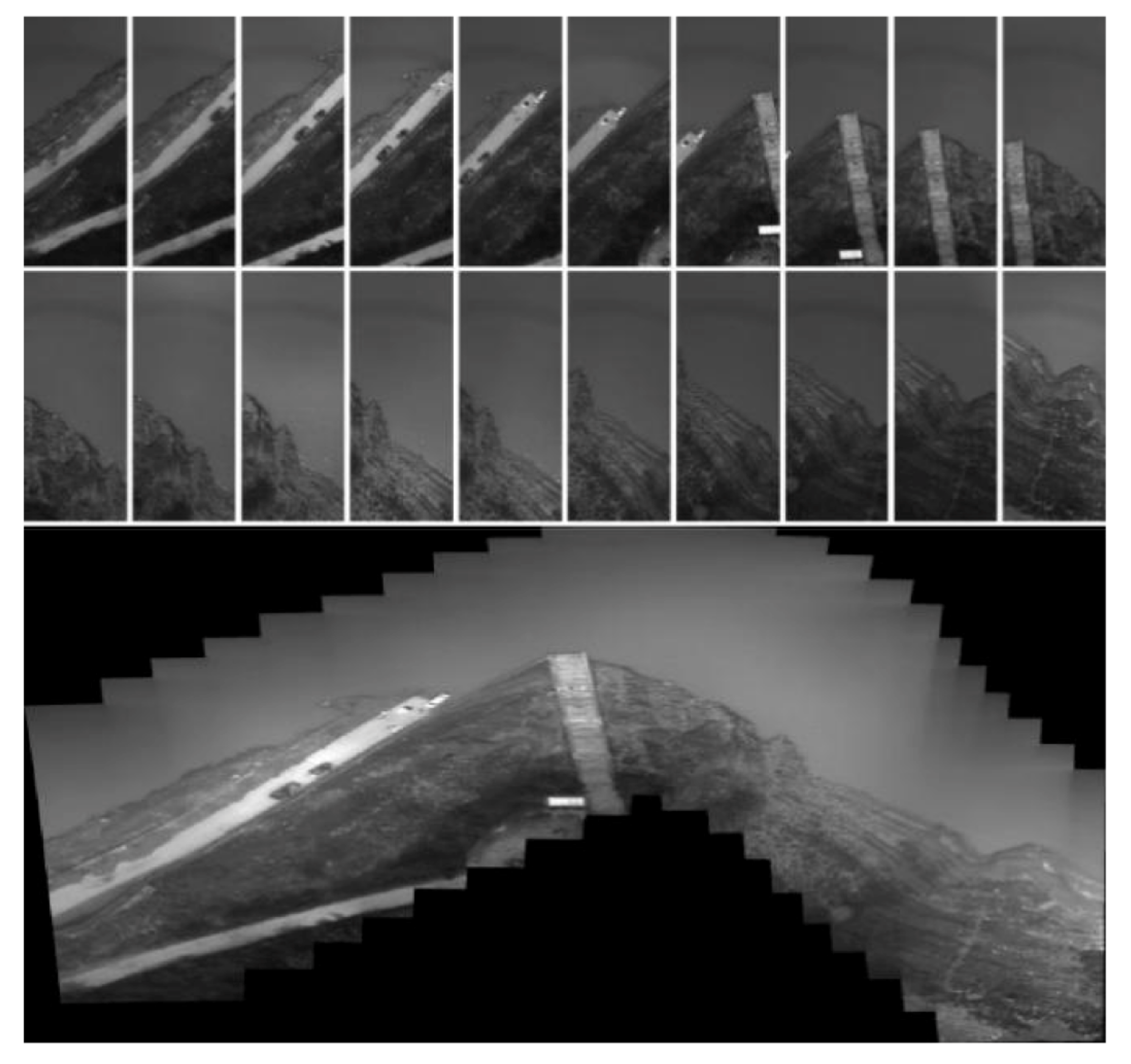 Remotesensing 13 04069 g009