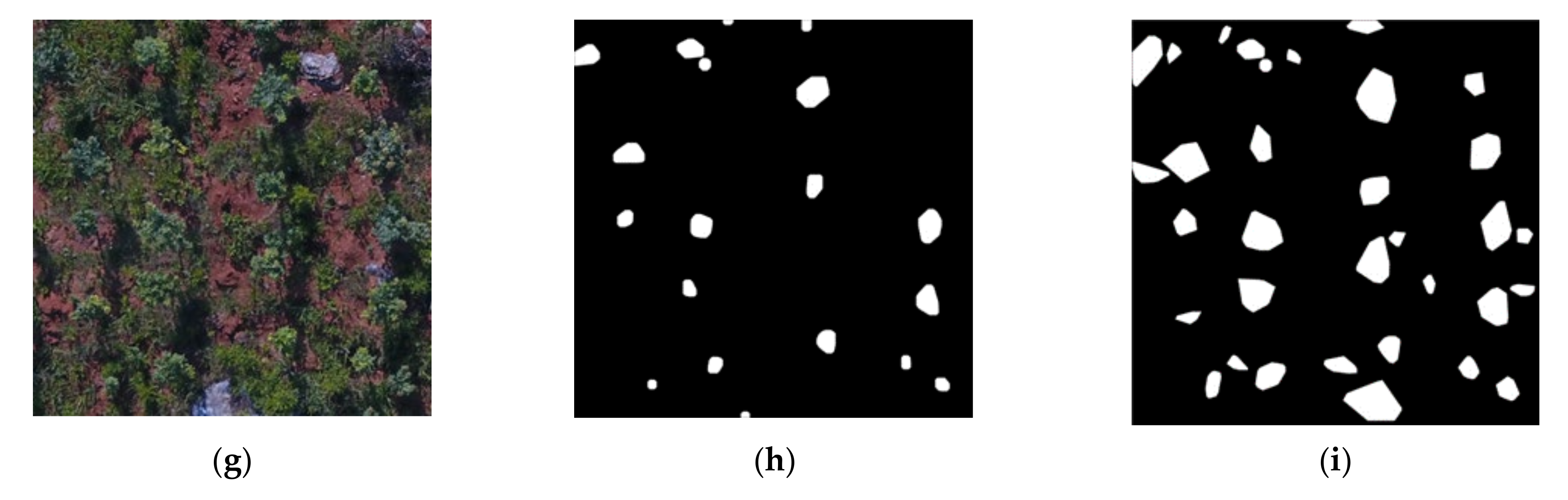 Remotesensing 13 04122 g006b 550