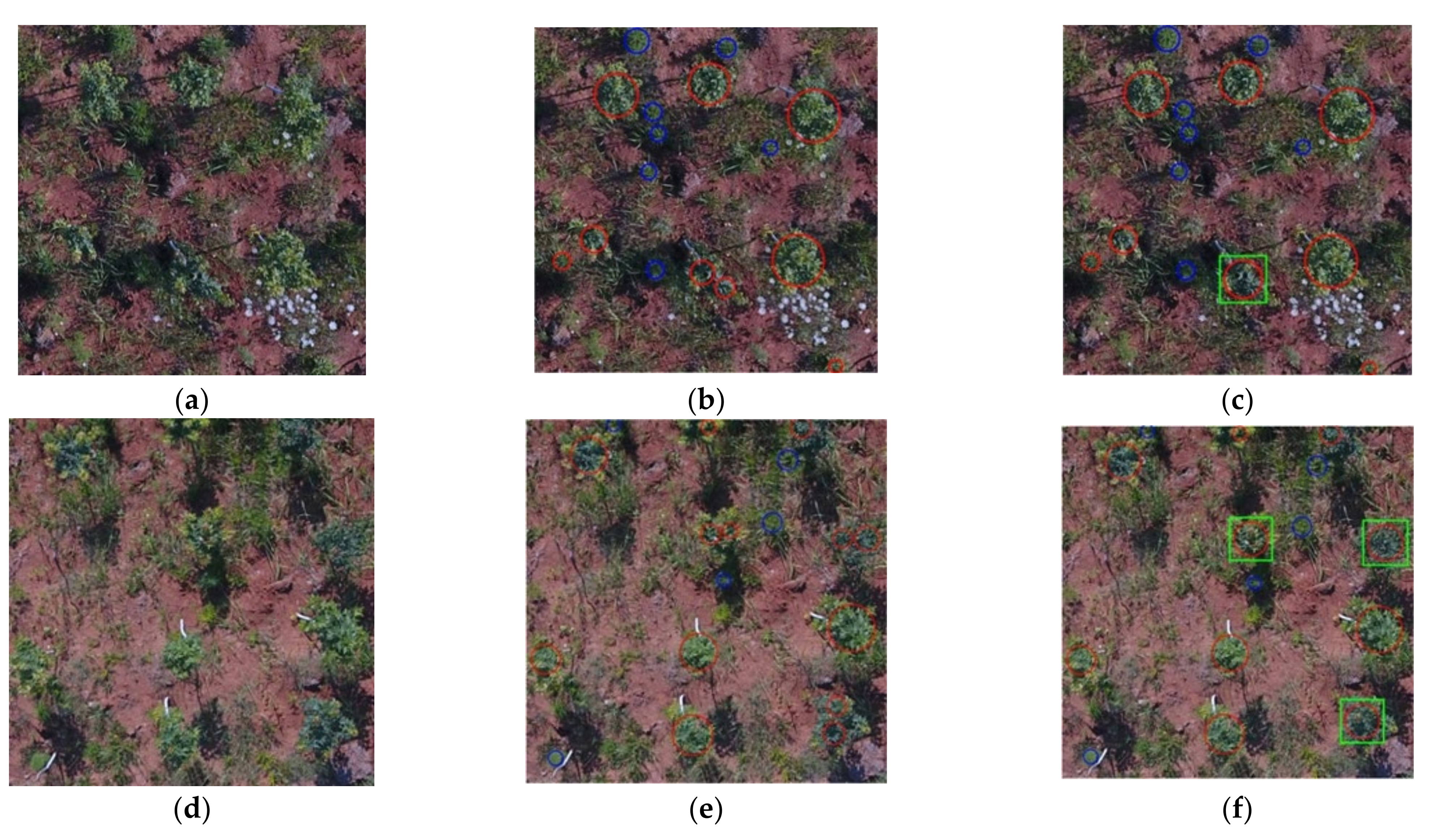 Remotesensing 13 04122 g007a 550