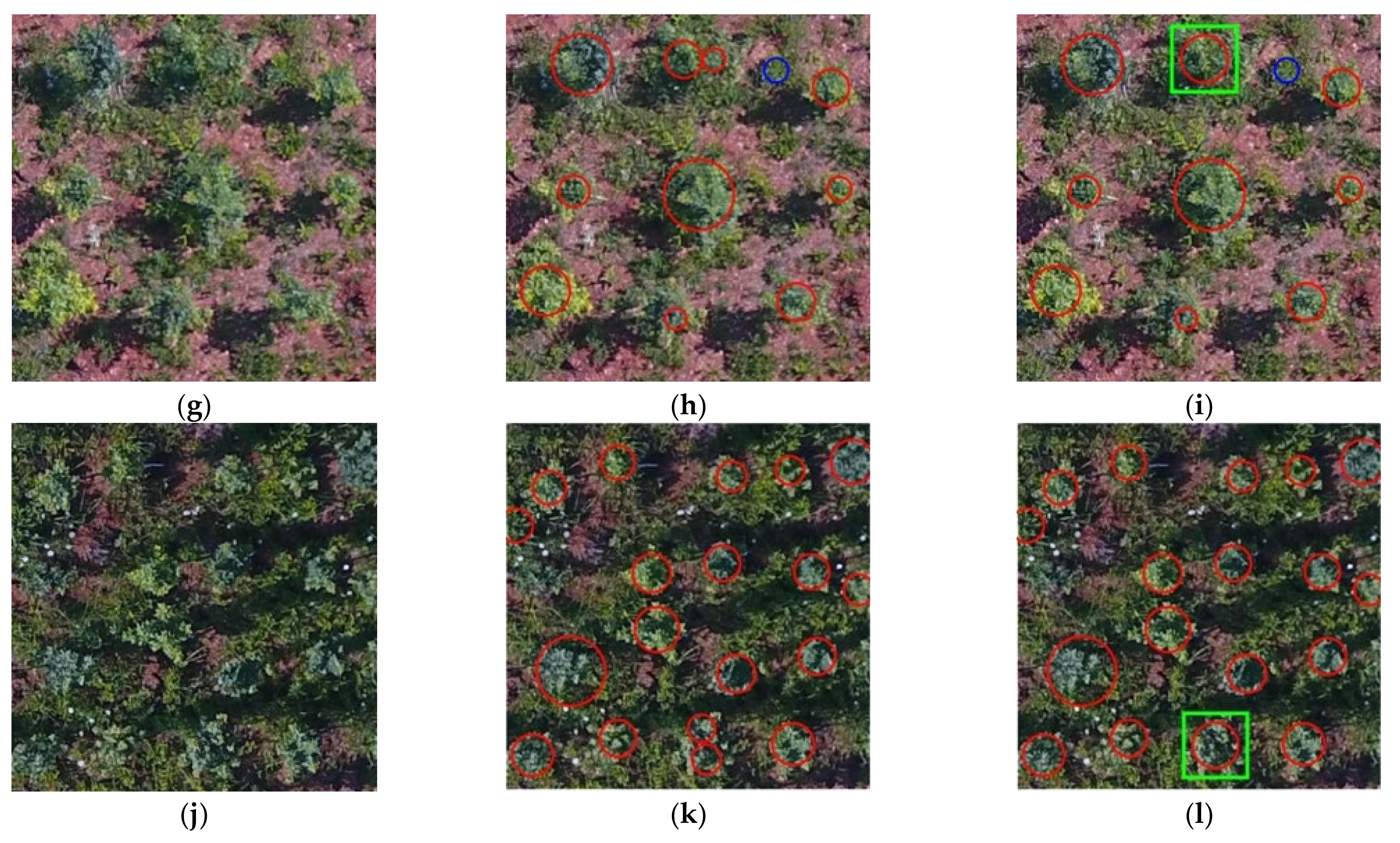 Remotesensing 13 04122 g007b 550