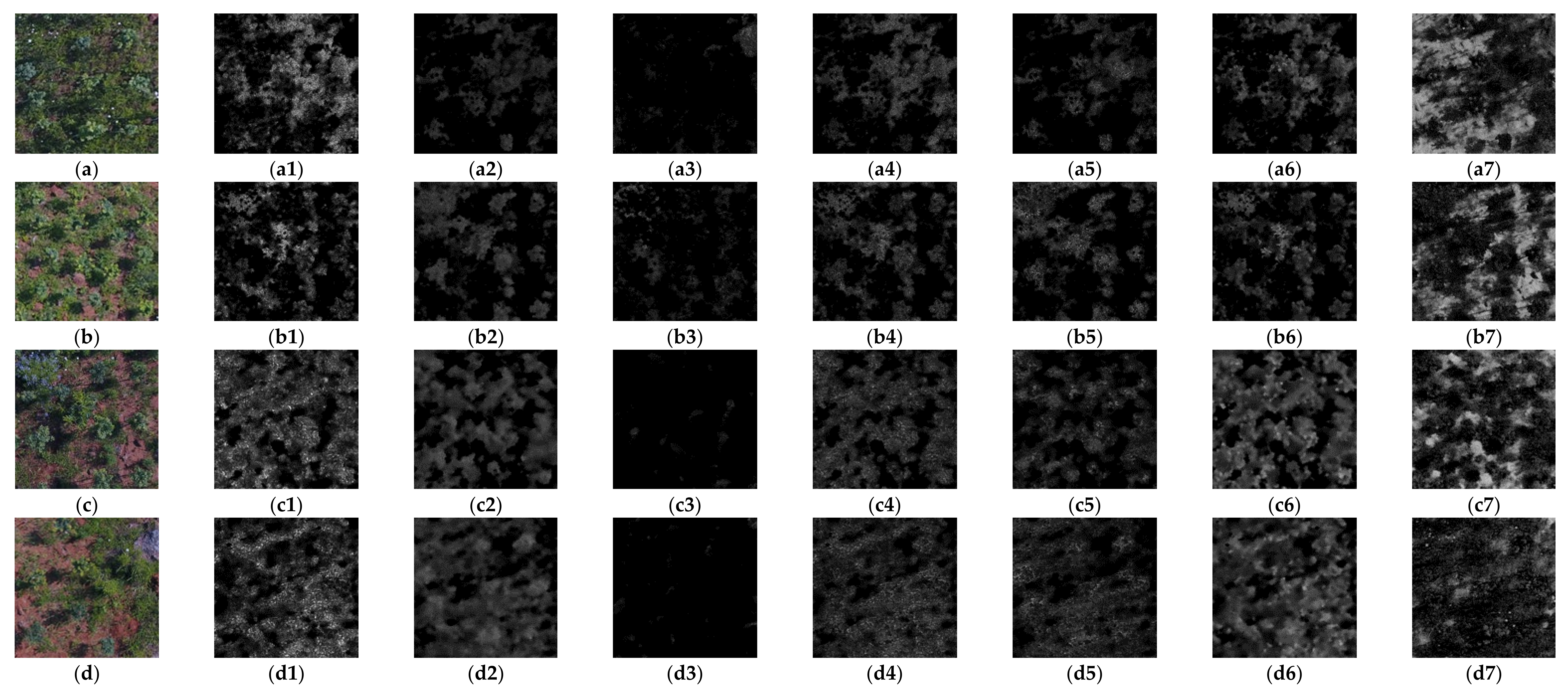 Remotesensing 13 04122 g0a1 550