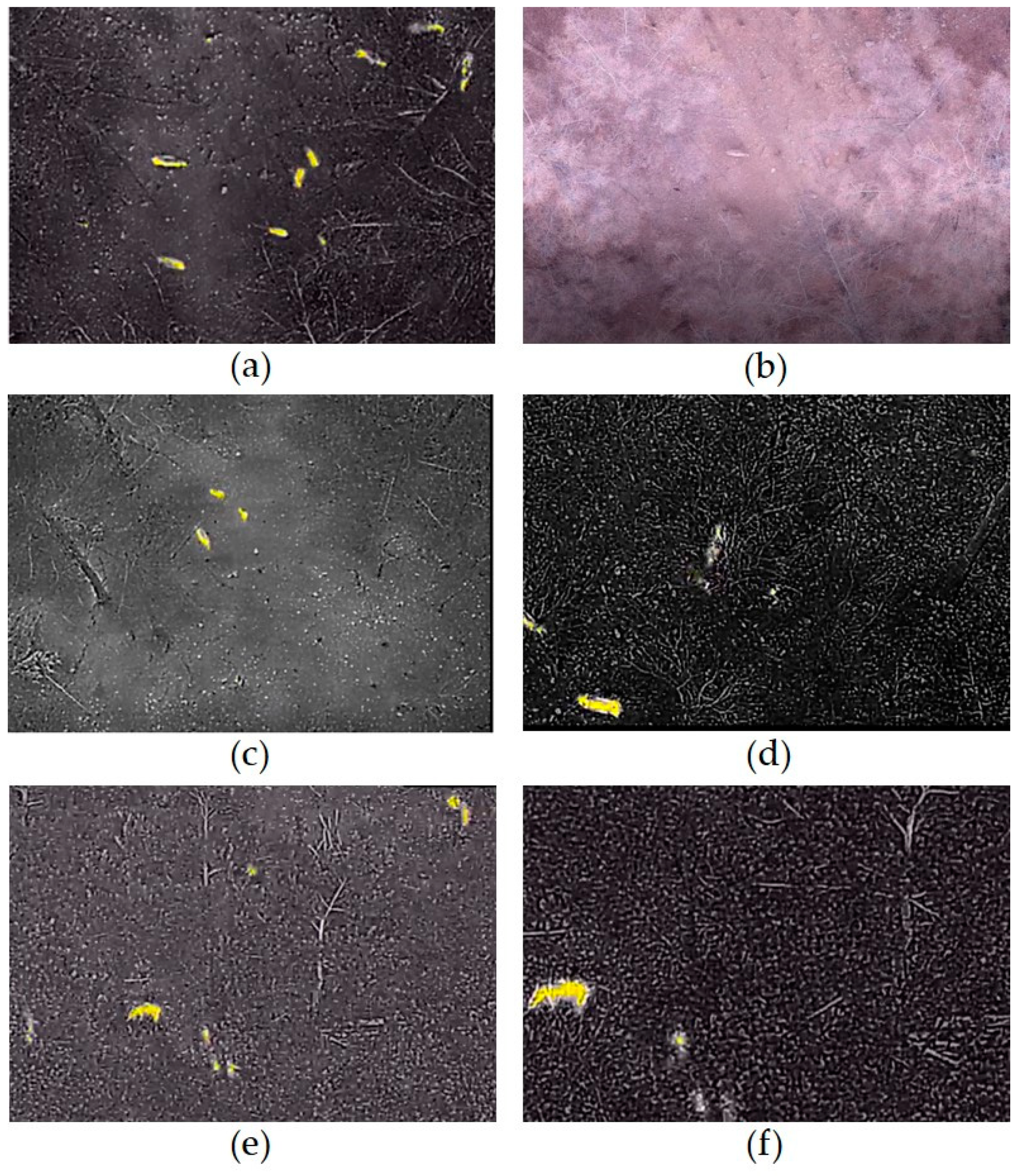 Remotesensing 13 04141 g010 550