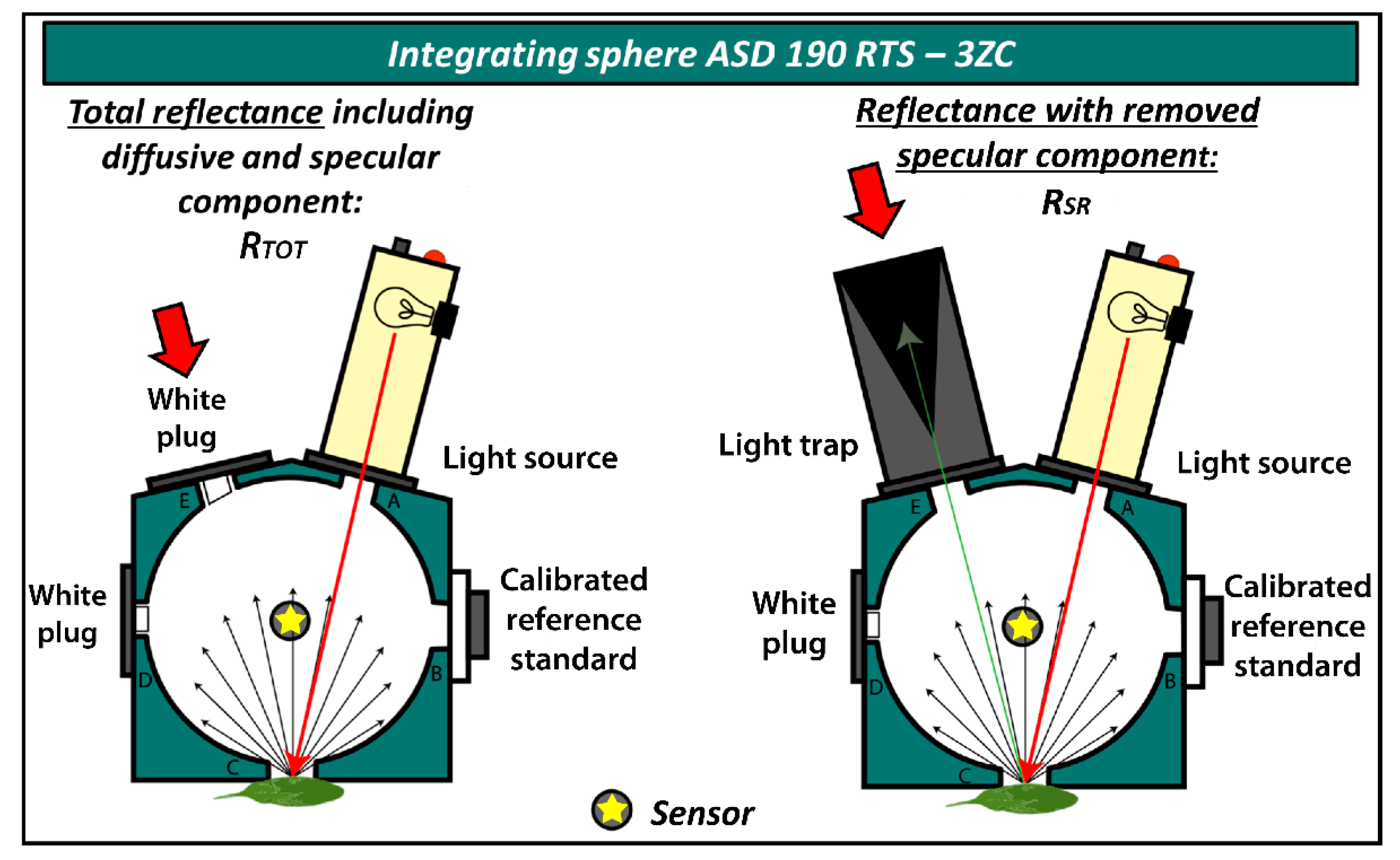 Remotesensing 13 04144 g003