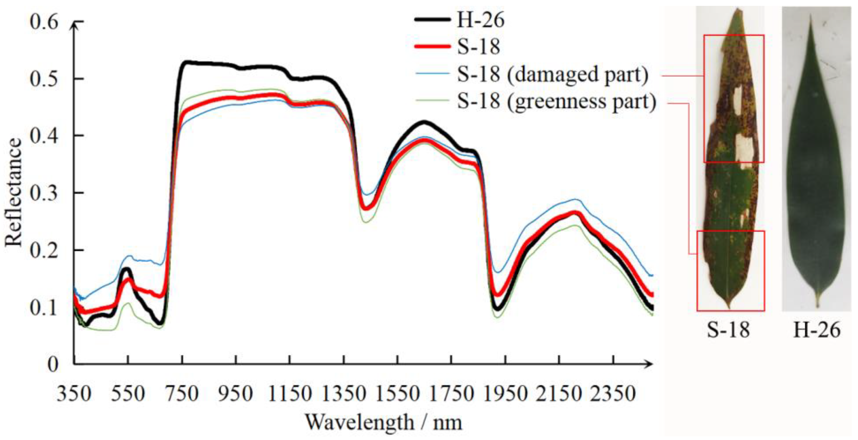 Remotesensing 13 04146 g008 Remotesensing 13 04146 g008