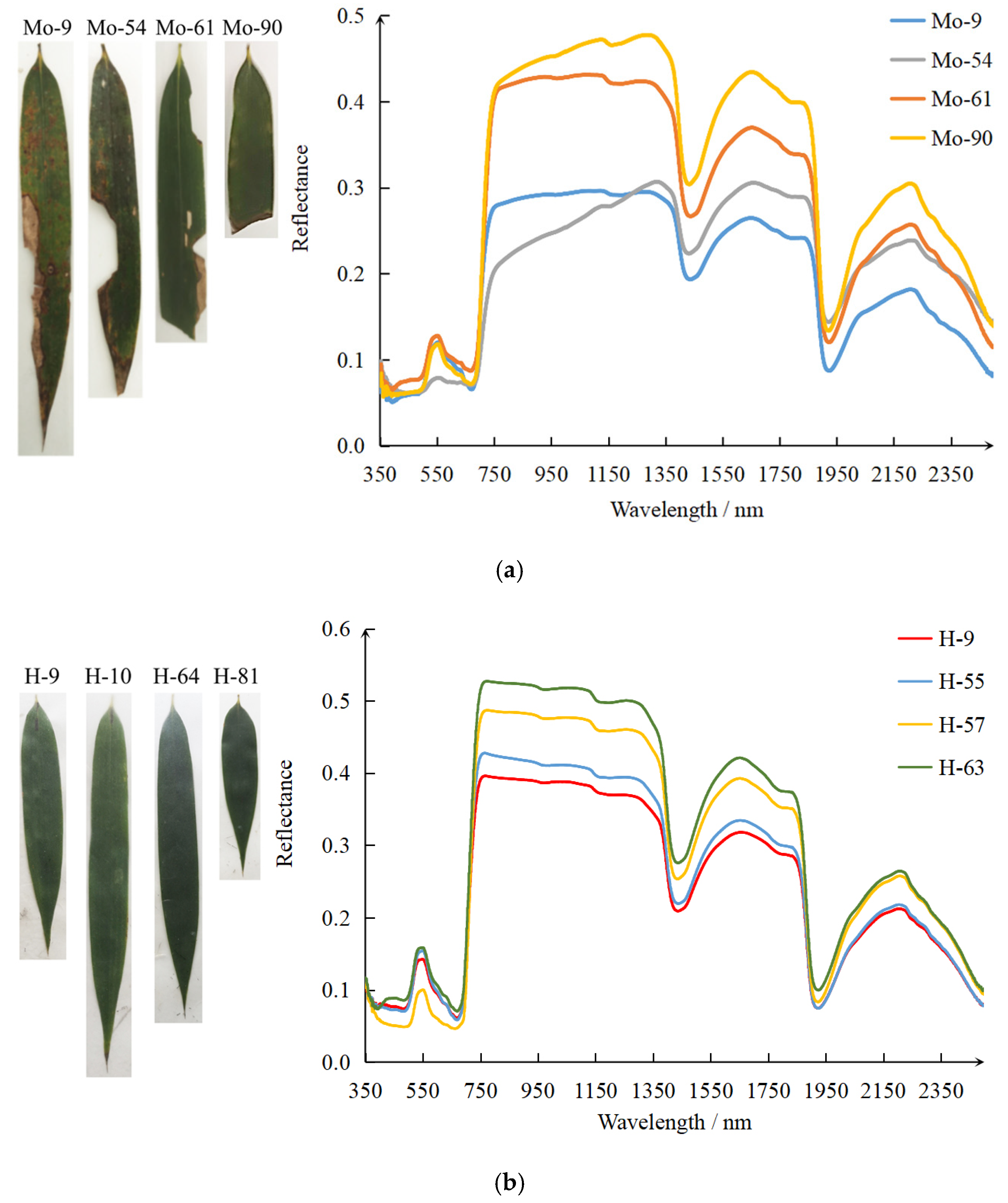 Remotesensing 13 04146 g009 Remotesensing 13 04146 g009