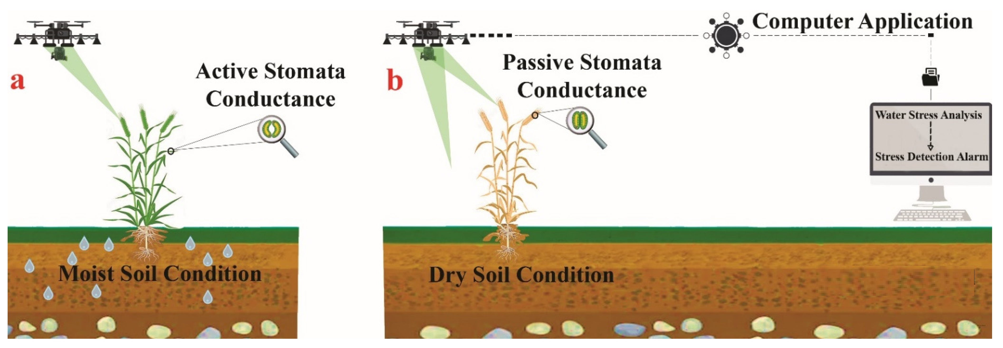Remotesensing 13 04155 g002 Remotesensing 13 04155 g002