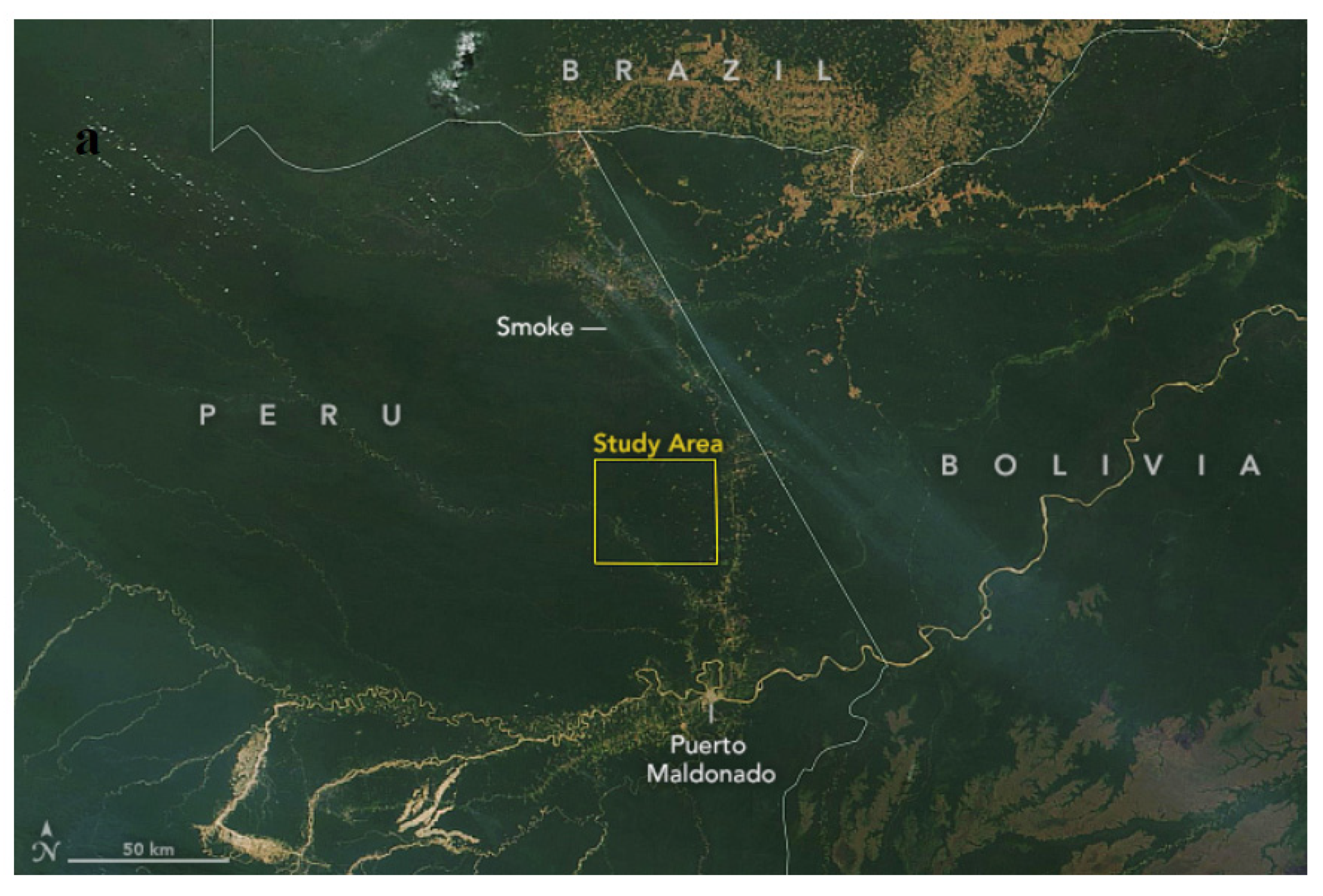 Remotesensing 13 04155 g004a Remotesensing 13 04155 g004a