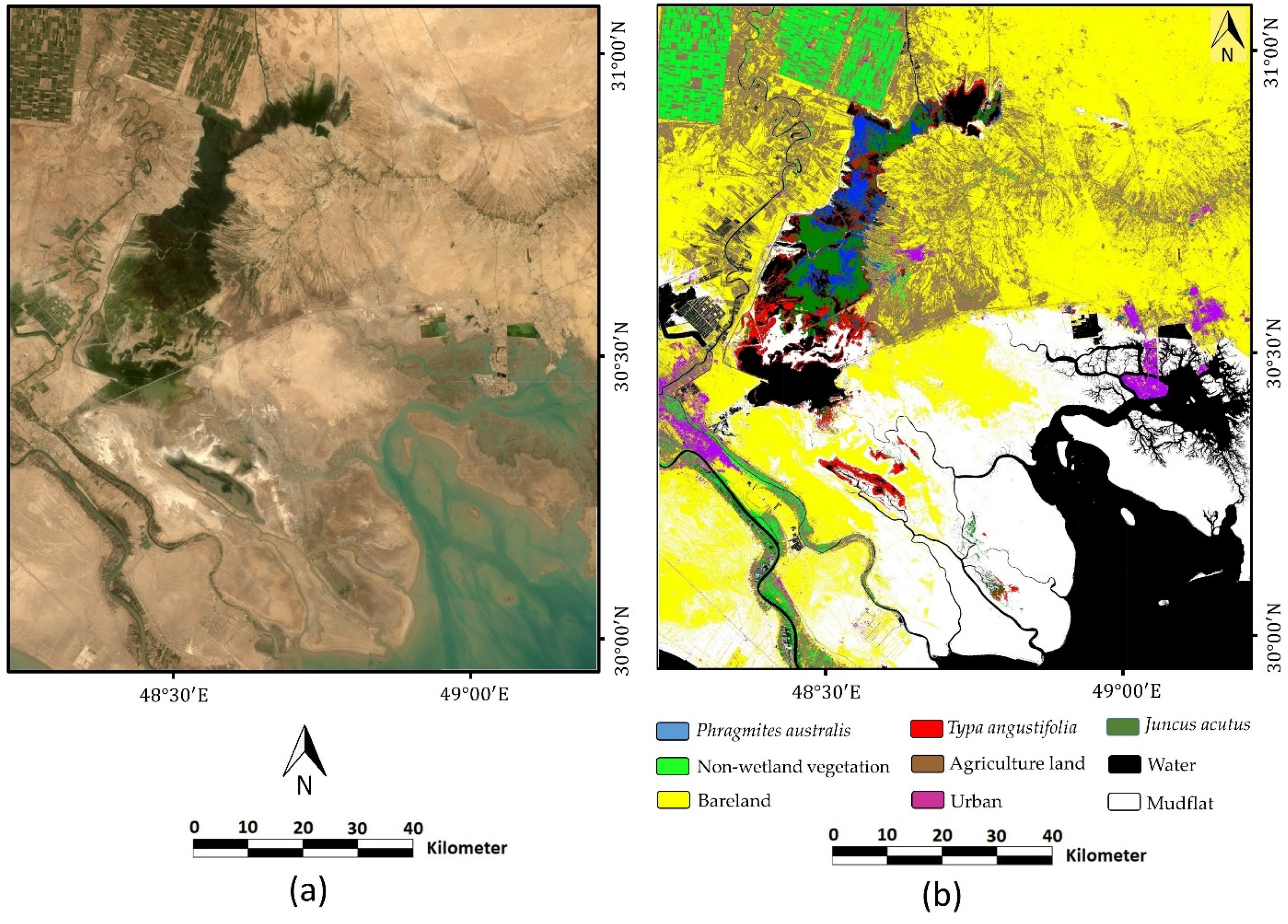 Remotesensing 13 04169 g0a3 550
