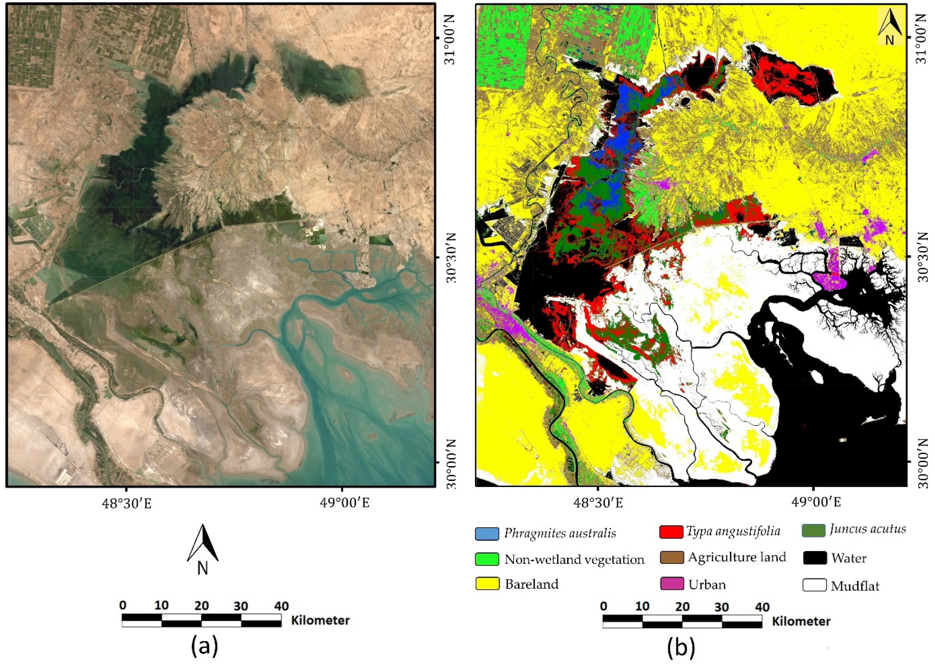 Remotesensing 13 04169 g0a4 550