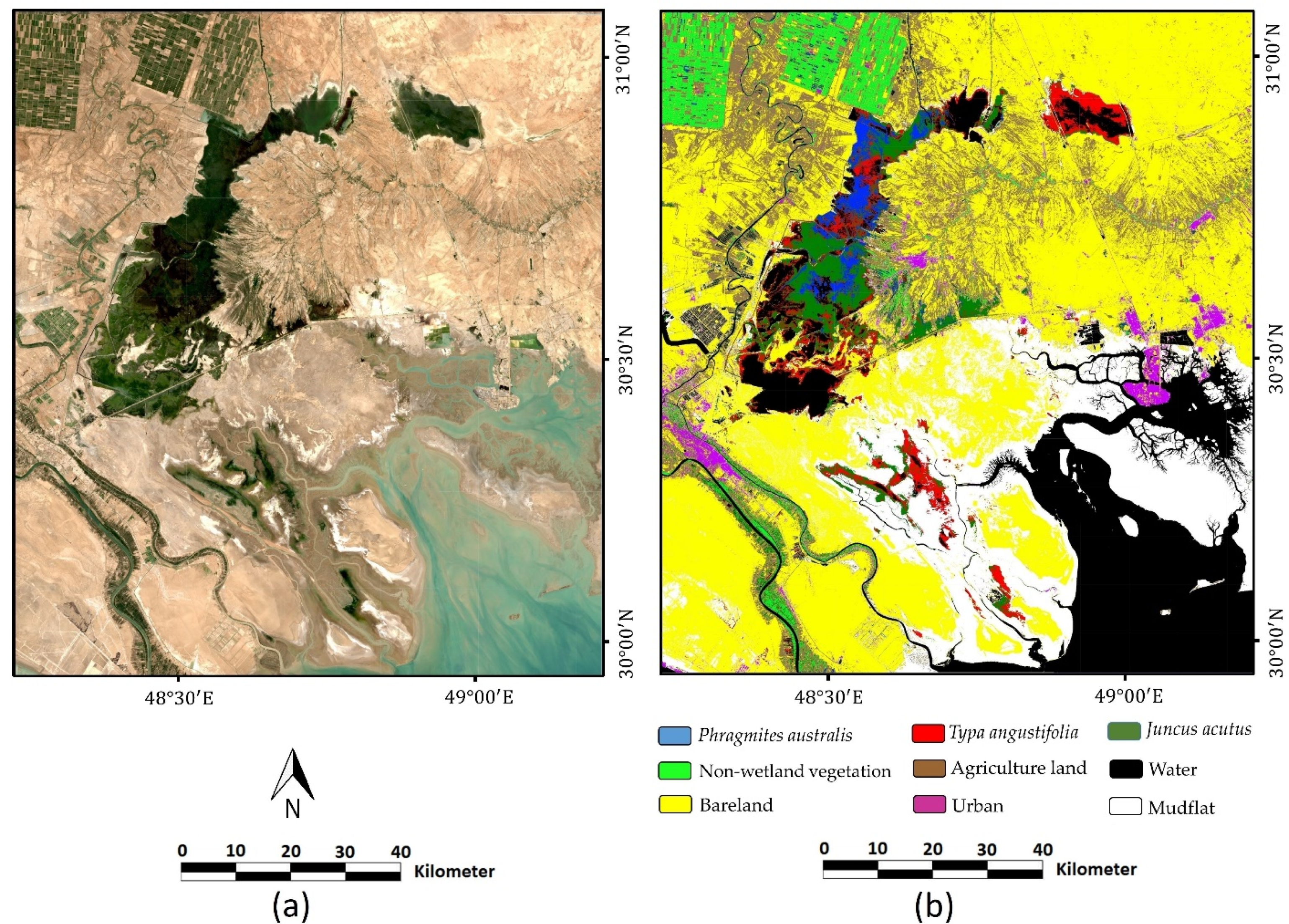 Remotesensing 13 04169 g0a5 550