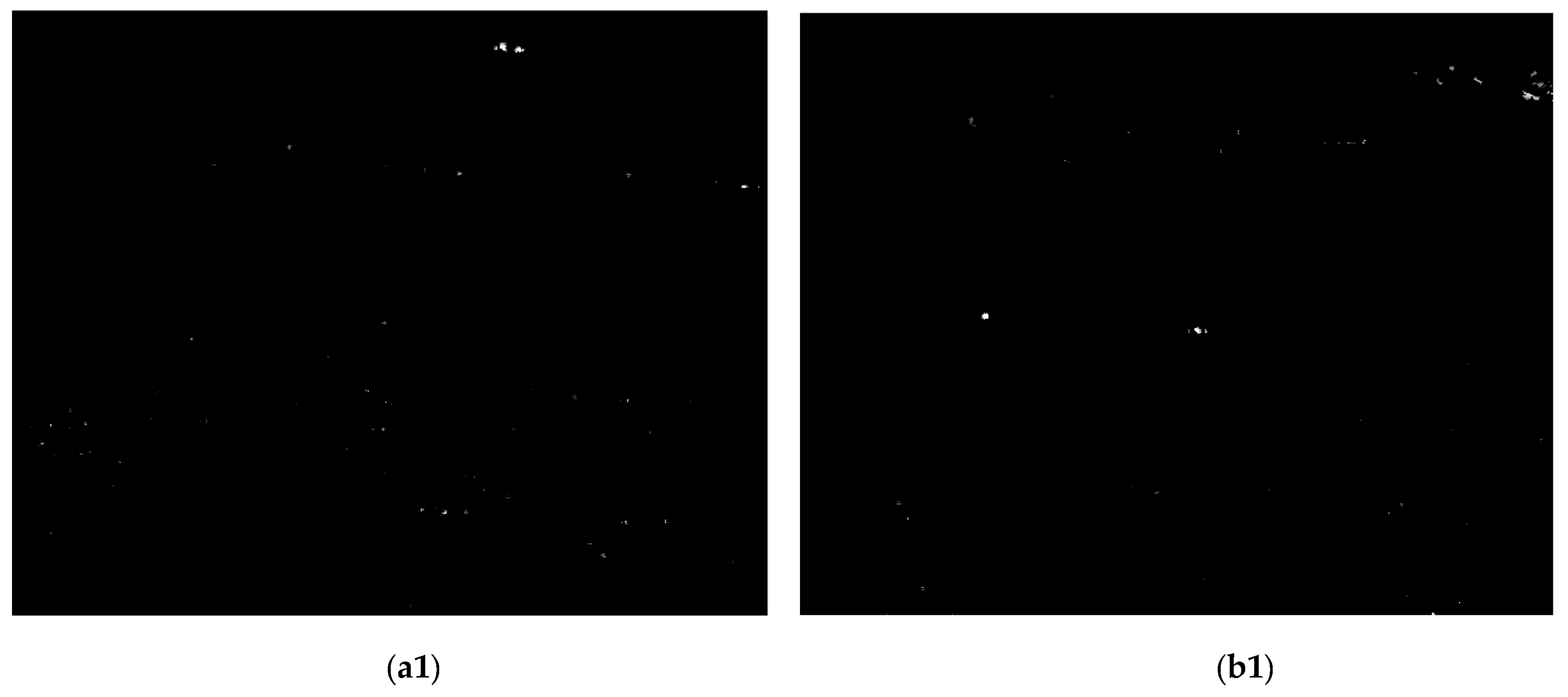 Remotesensing 13 04189 g008a 550