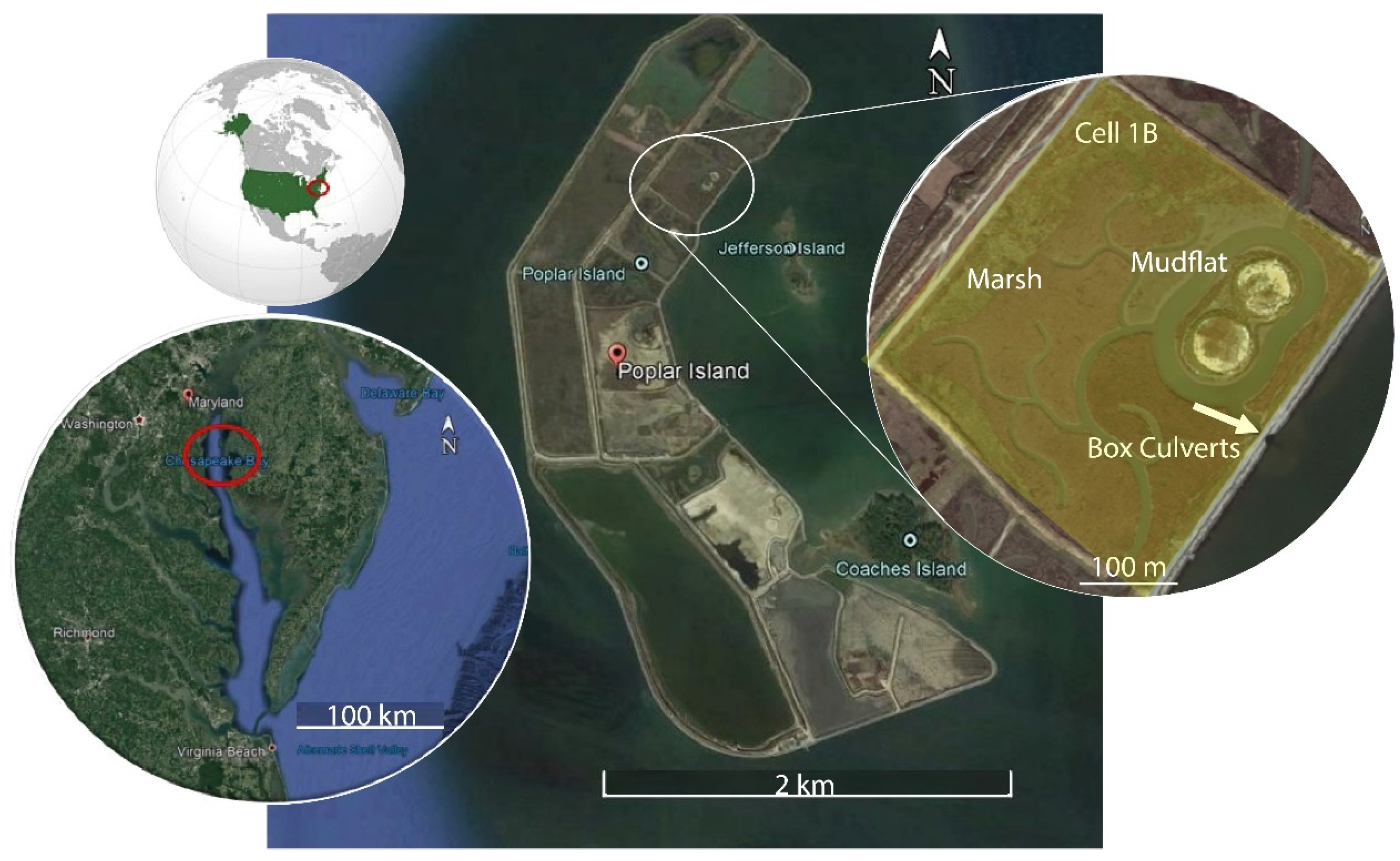 Remotesensing 13 04207 g001 550