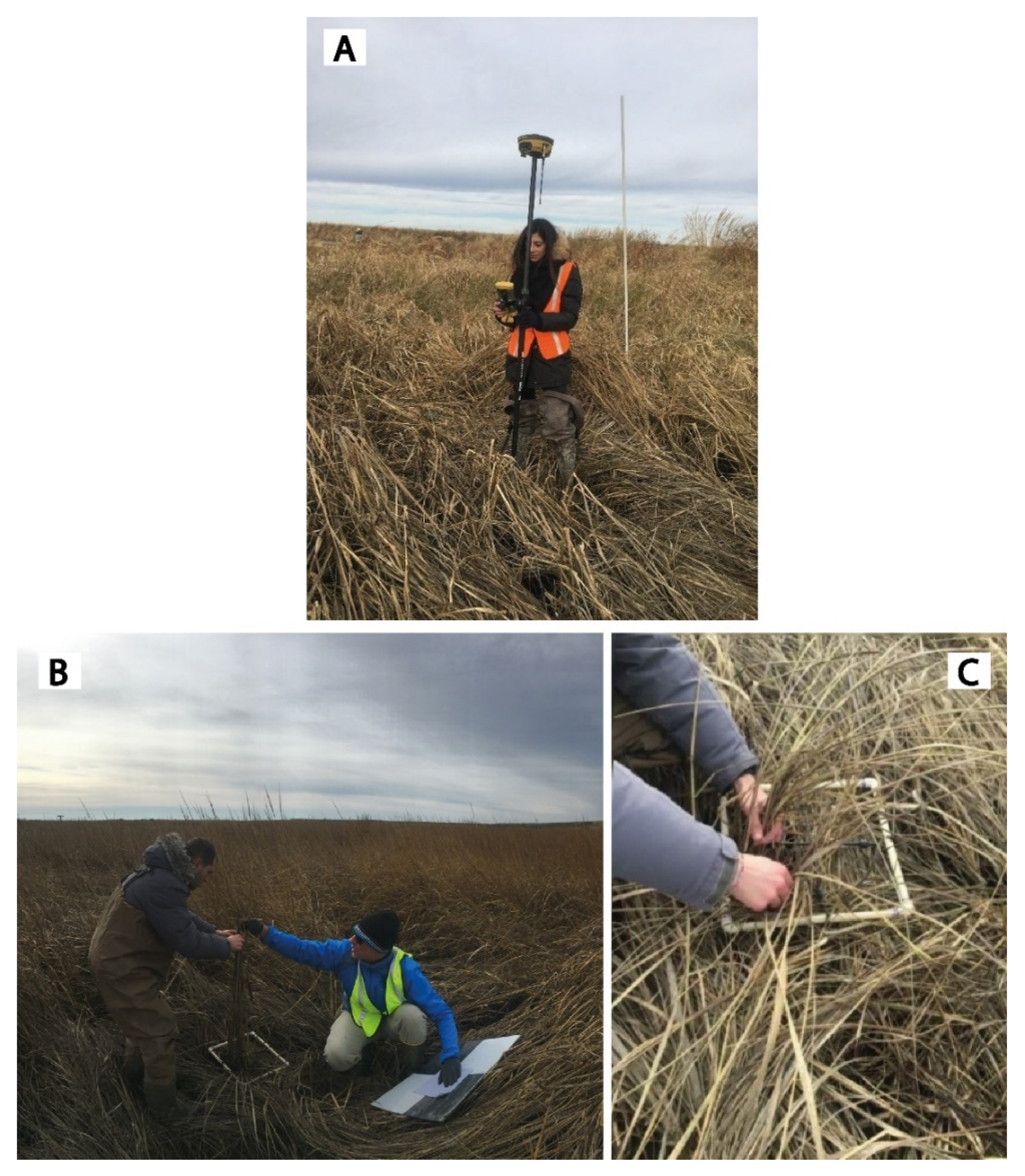 Remotesensing 13 04207 g002 550