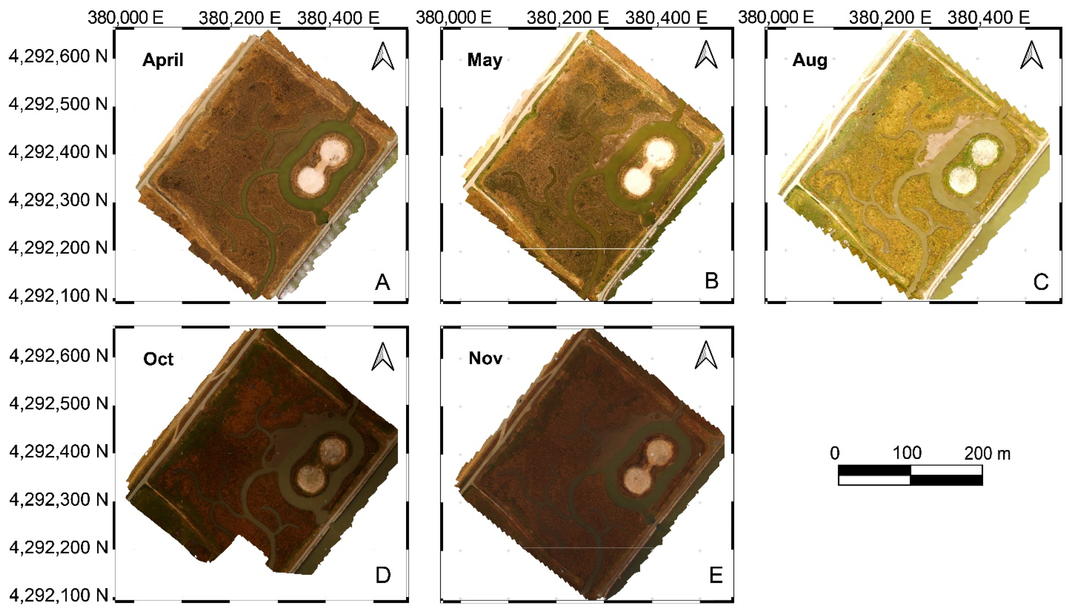 Remotesensing 13 04207 g006 550