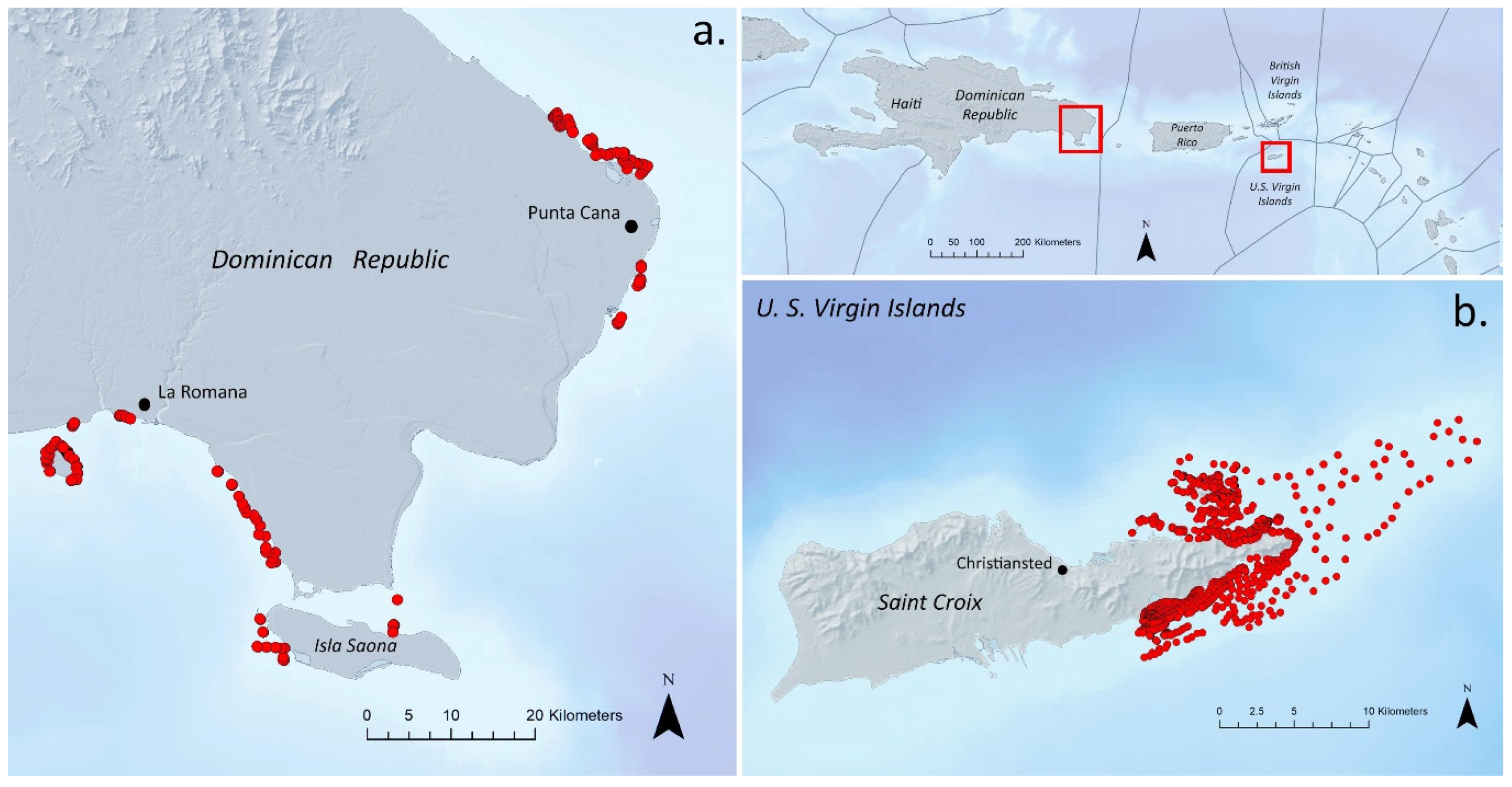 Remotesensing 13 04215 g006
