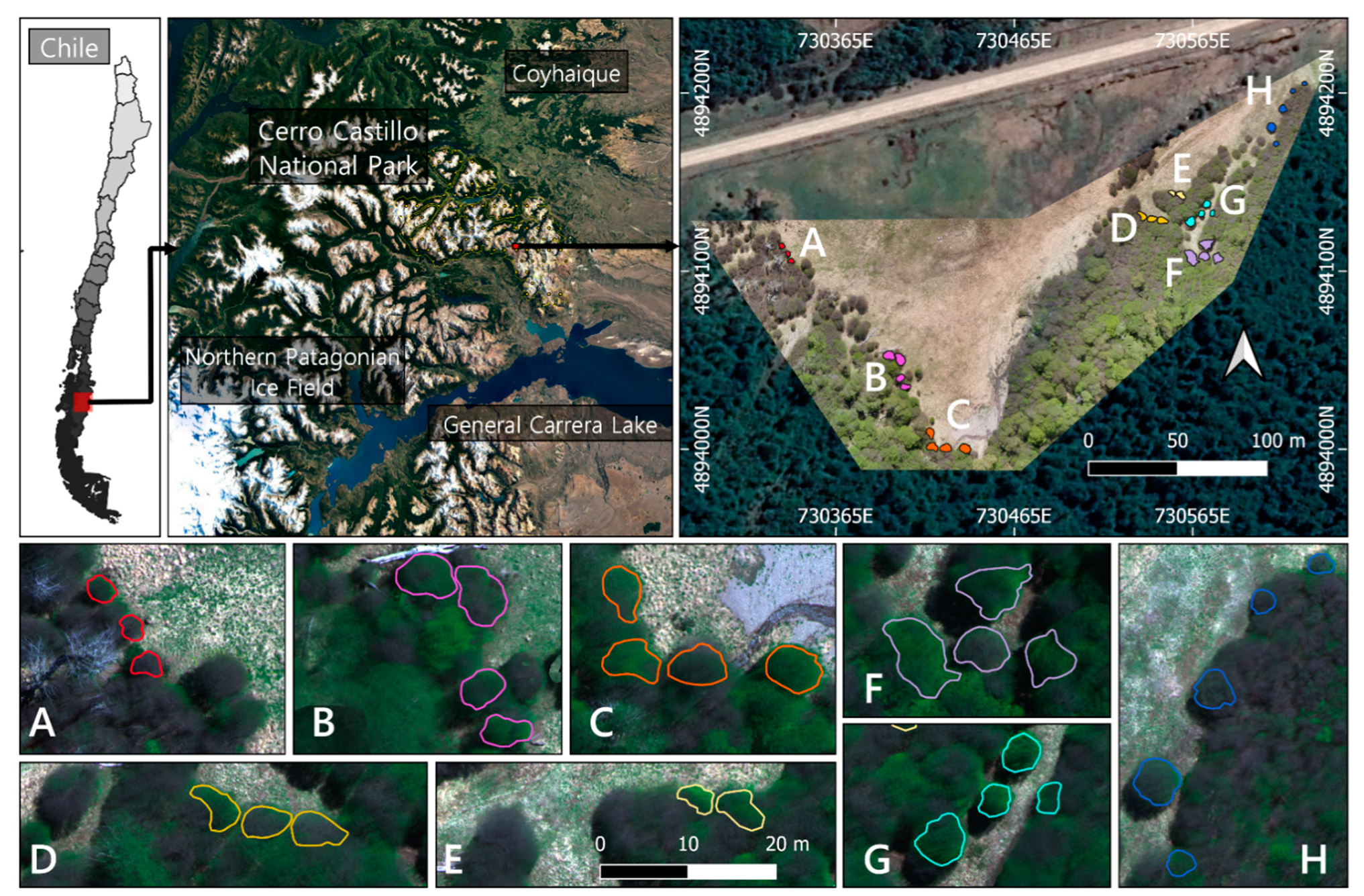 Remotesensing 13 04232 g001 Remotesensing 13 04232 g001