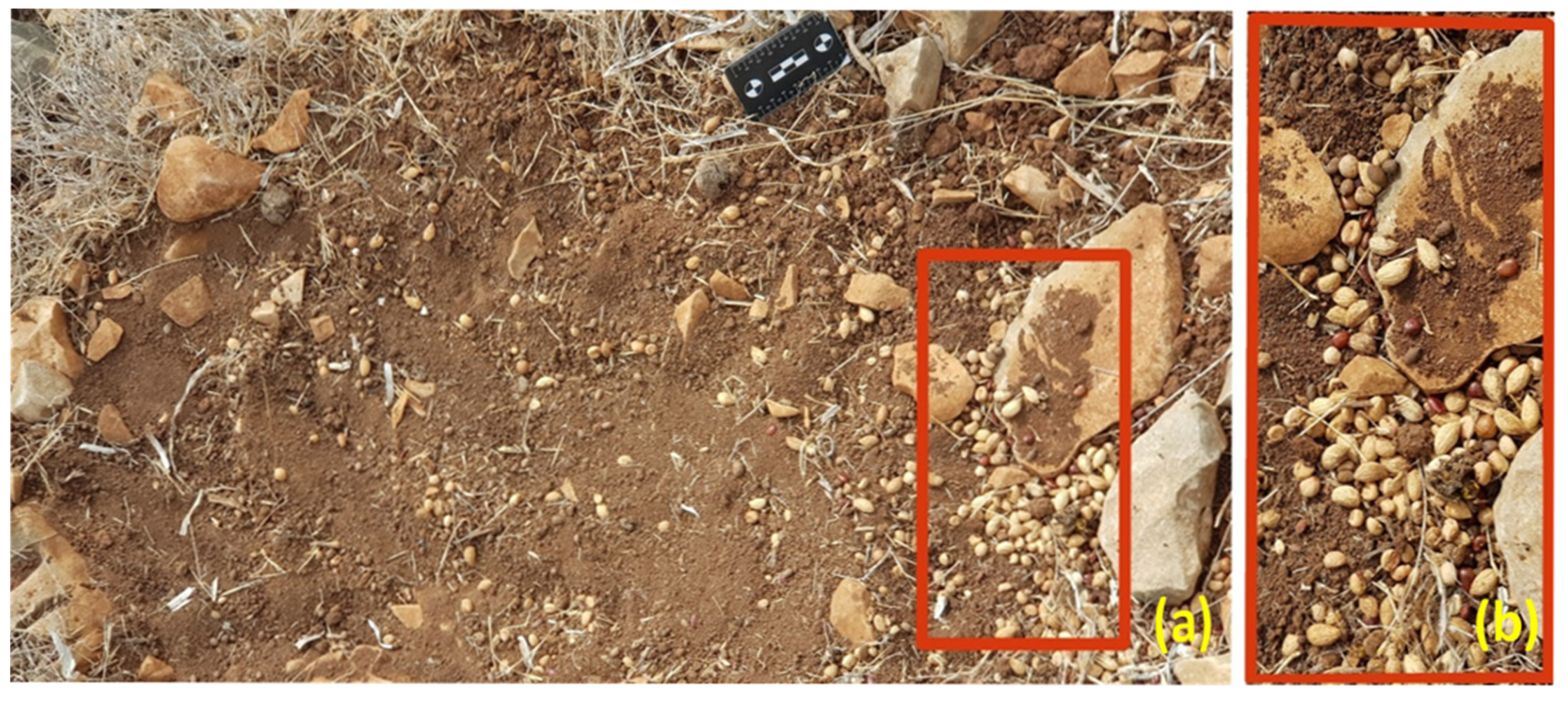 Remotesensing 13 04279 g002 550