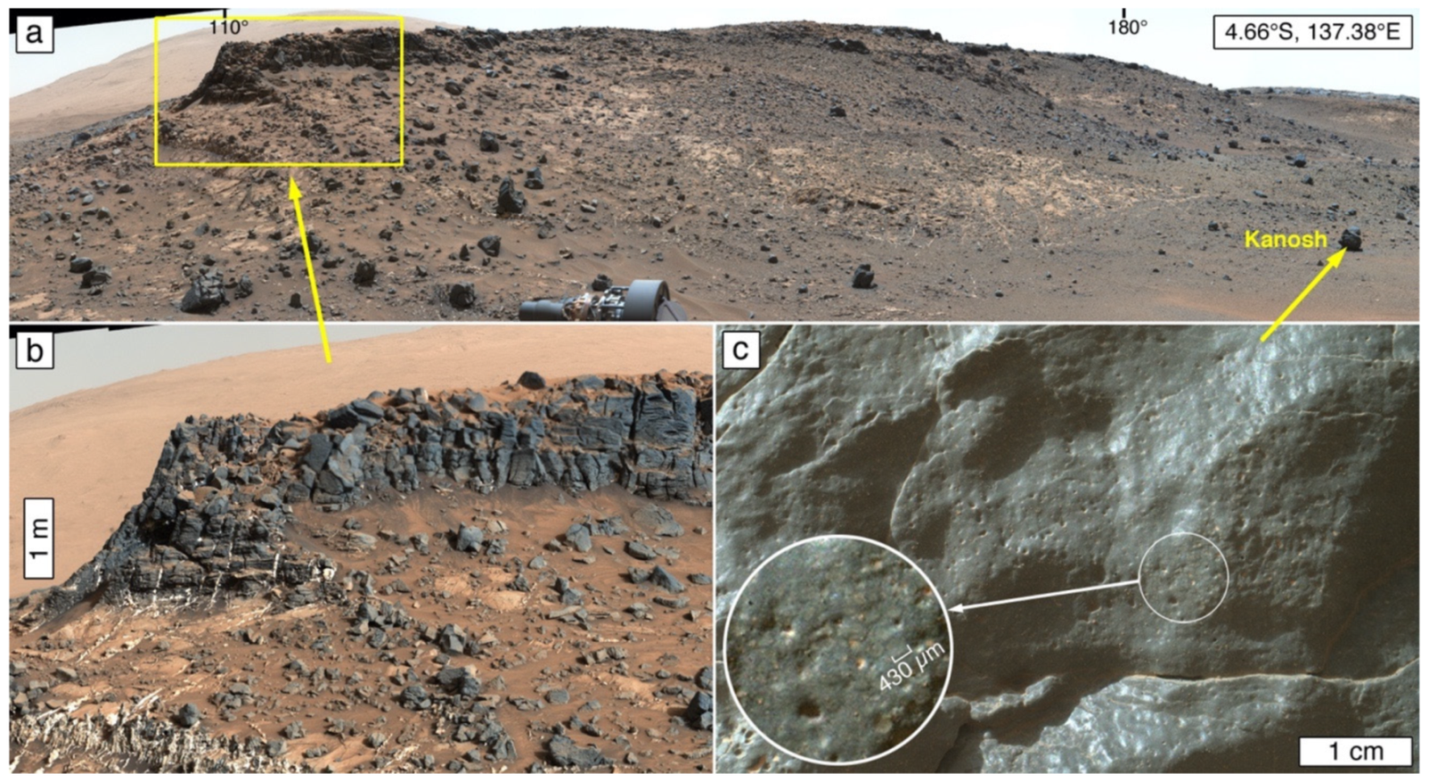 Remotesensing 13 04296 g002