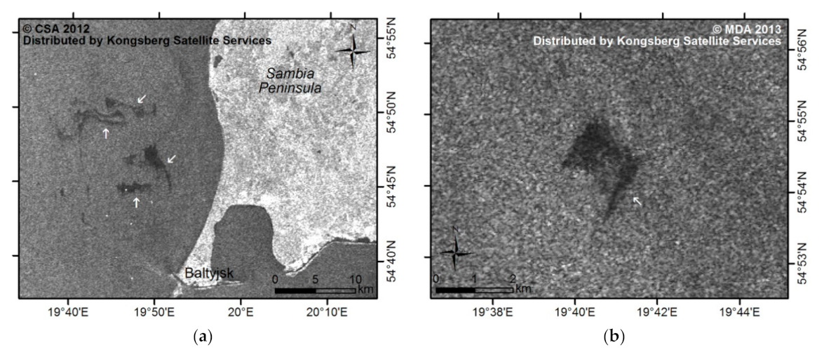 Remotesensing 13 04307 g004